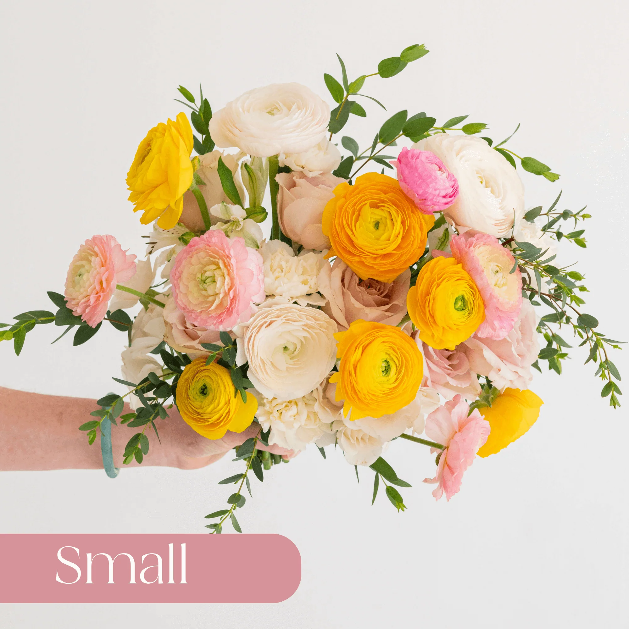 Pink Lemonade Premade Plus - Small