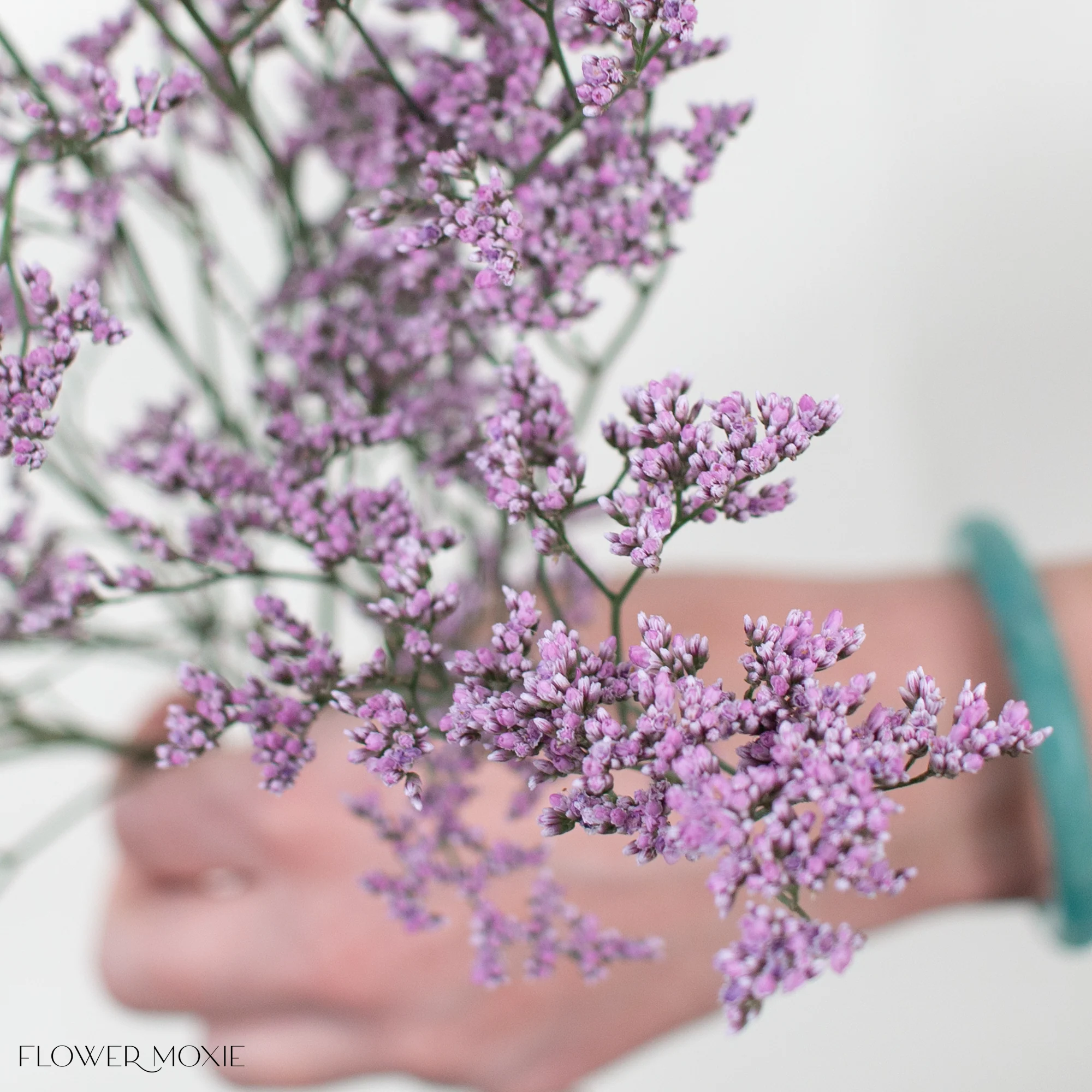 Pink Limonium Flower - Image 5