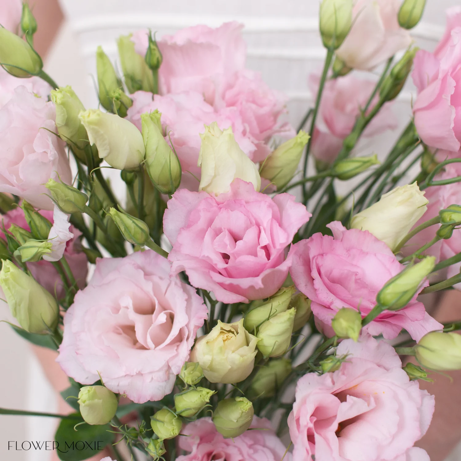 Pink Lisianthus Flower - Image 10