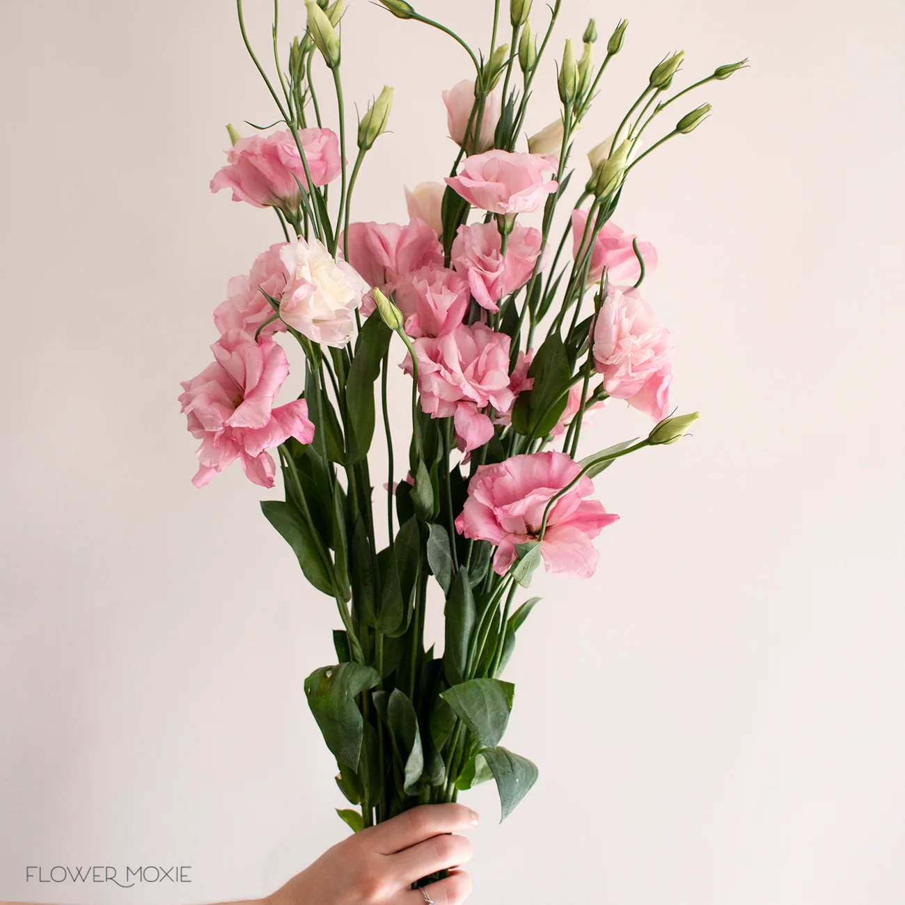 Pink Lisianthus Flower - Image 6