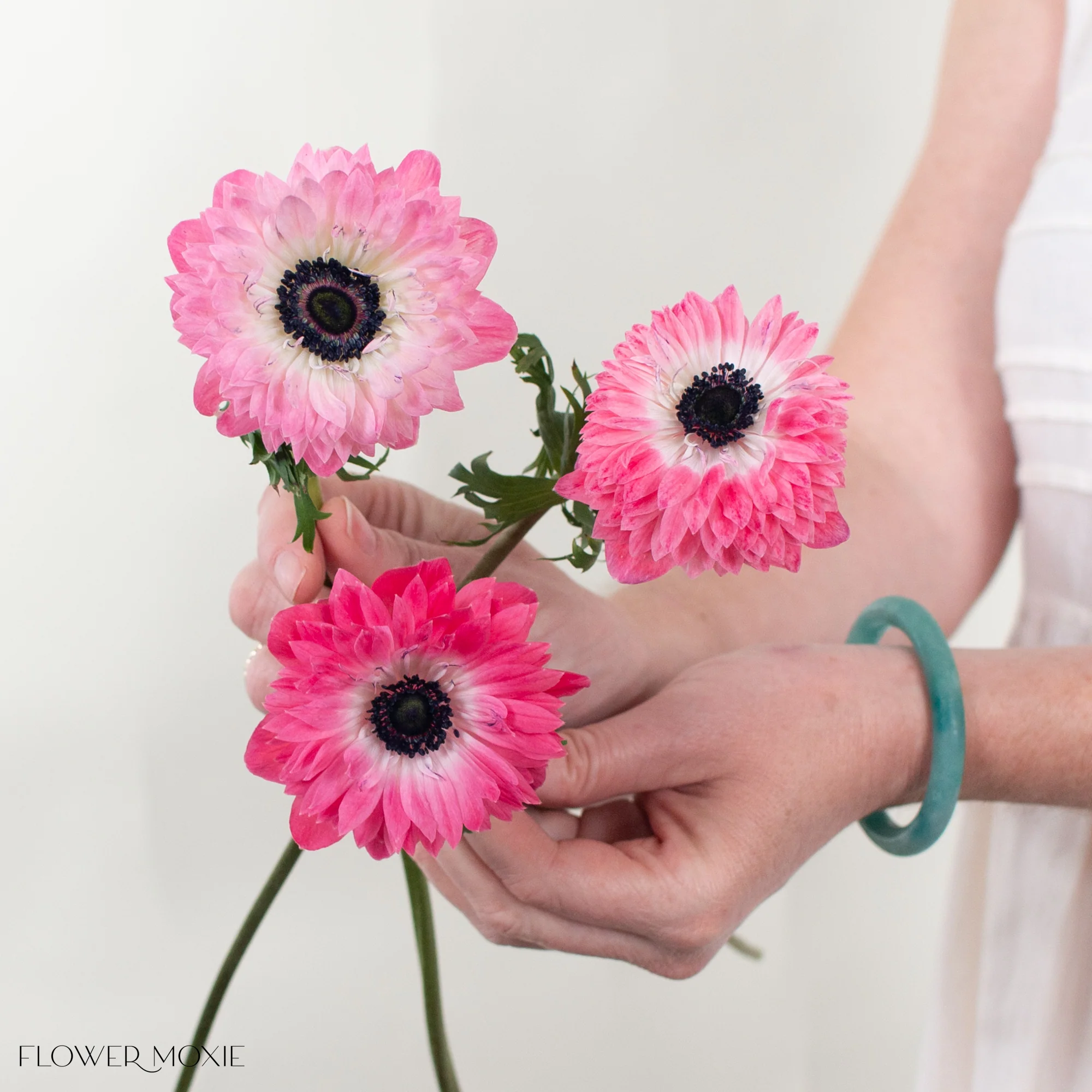 Pink Lotus Anemone Flower - Image 4