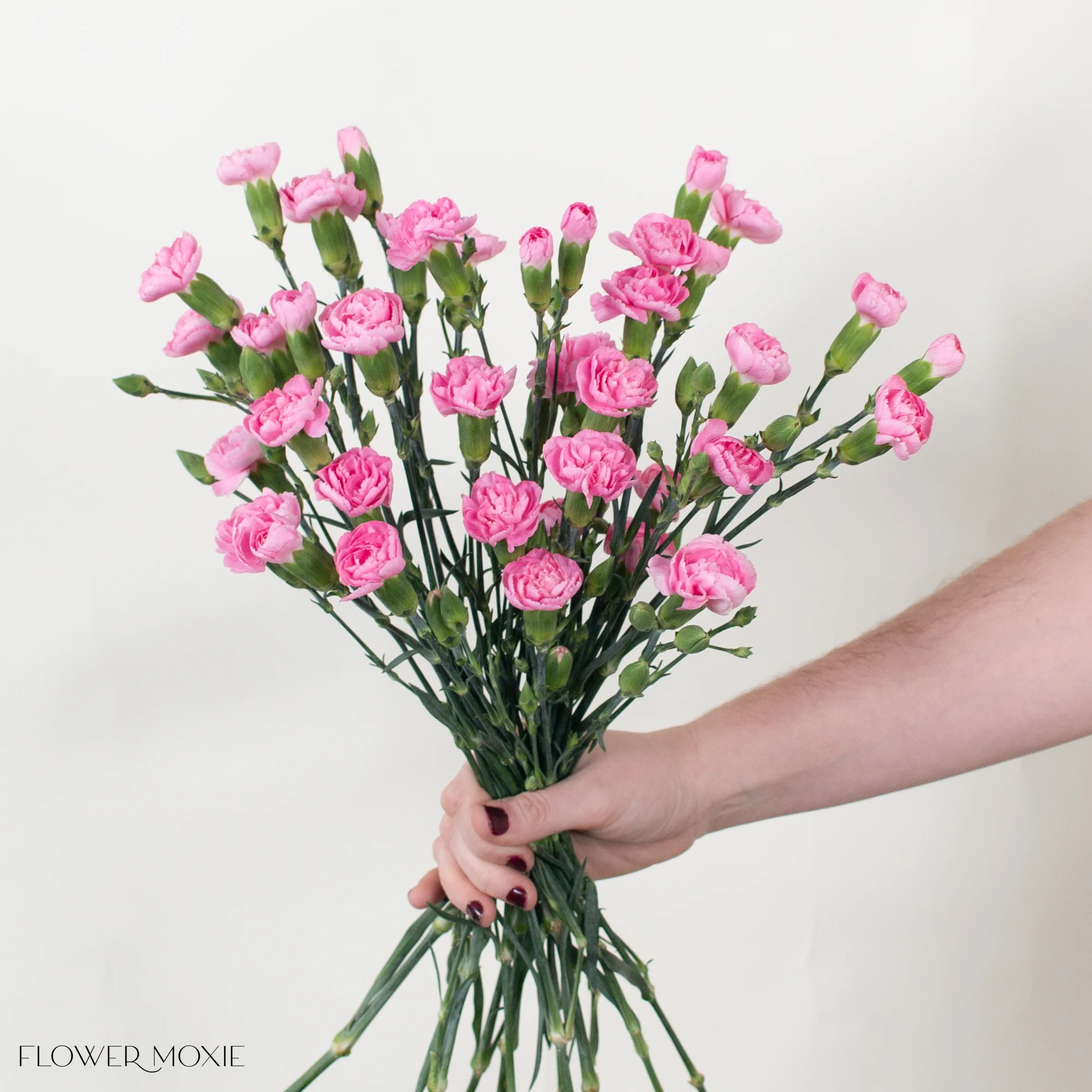 Pink Mini Carnation Flower - Image 4