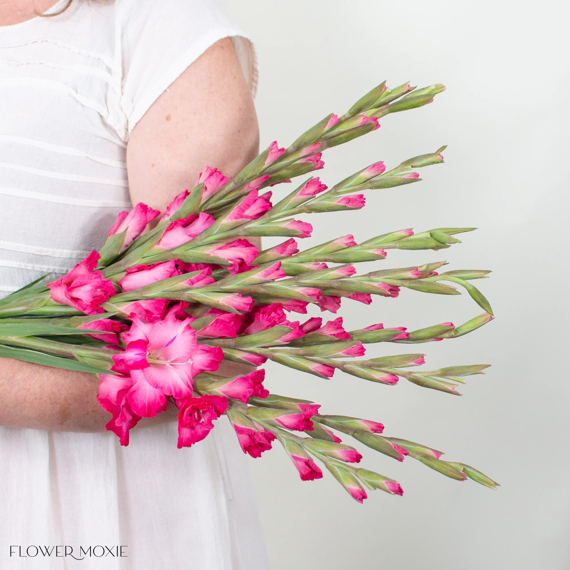 Pink Mini Gladiolus Flower - Image 3