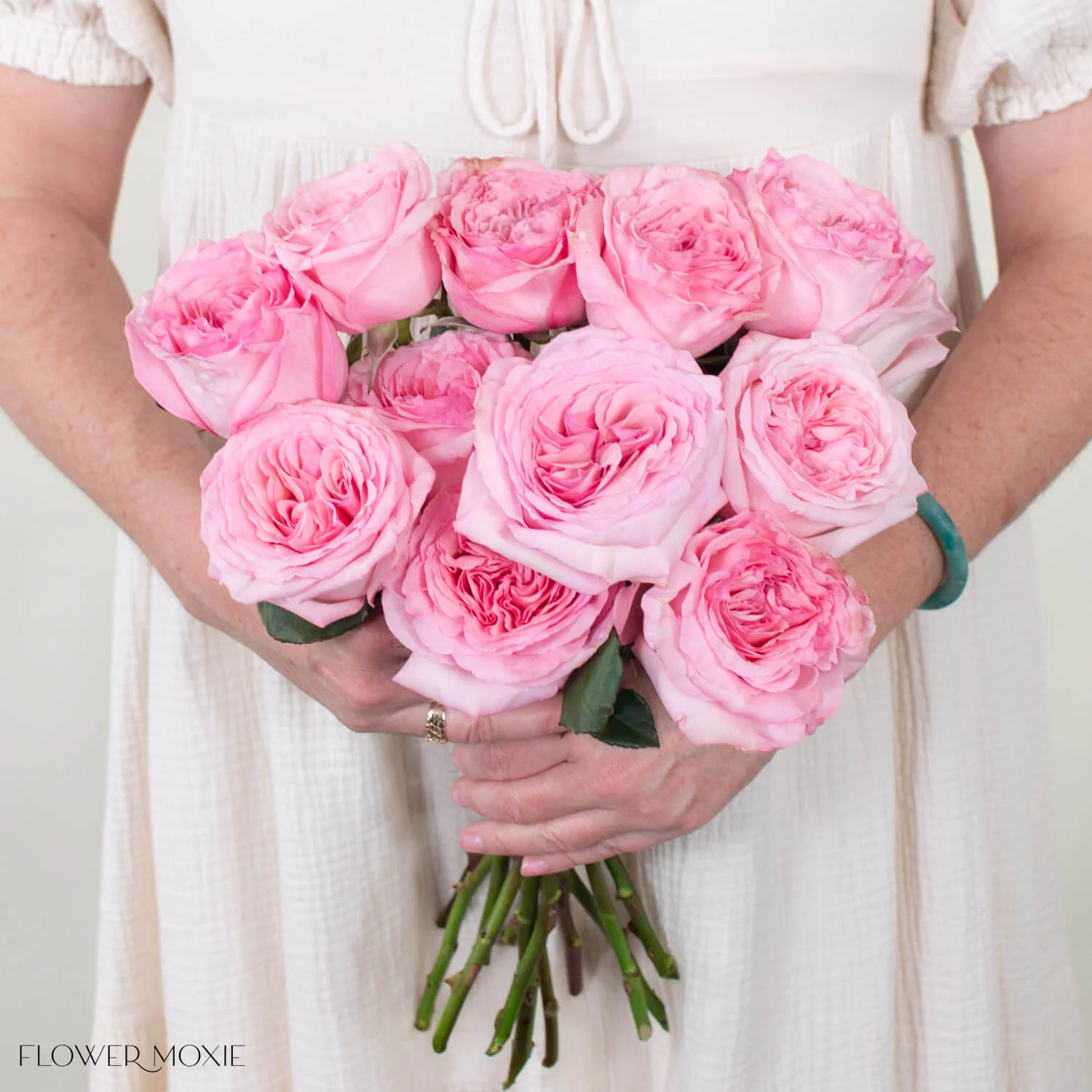 Pink O'Hara Garden Rose - Image 2