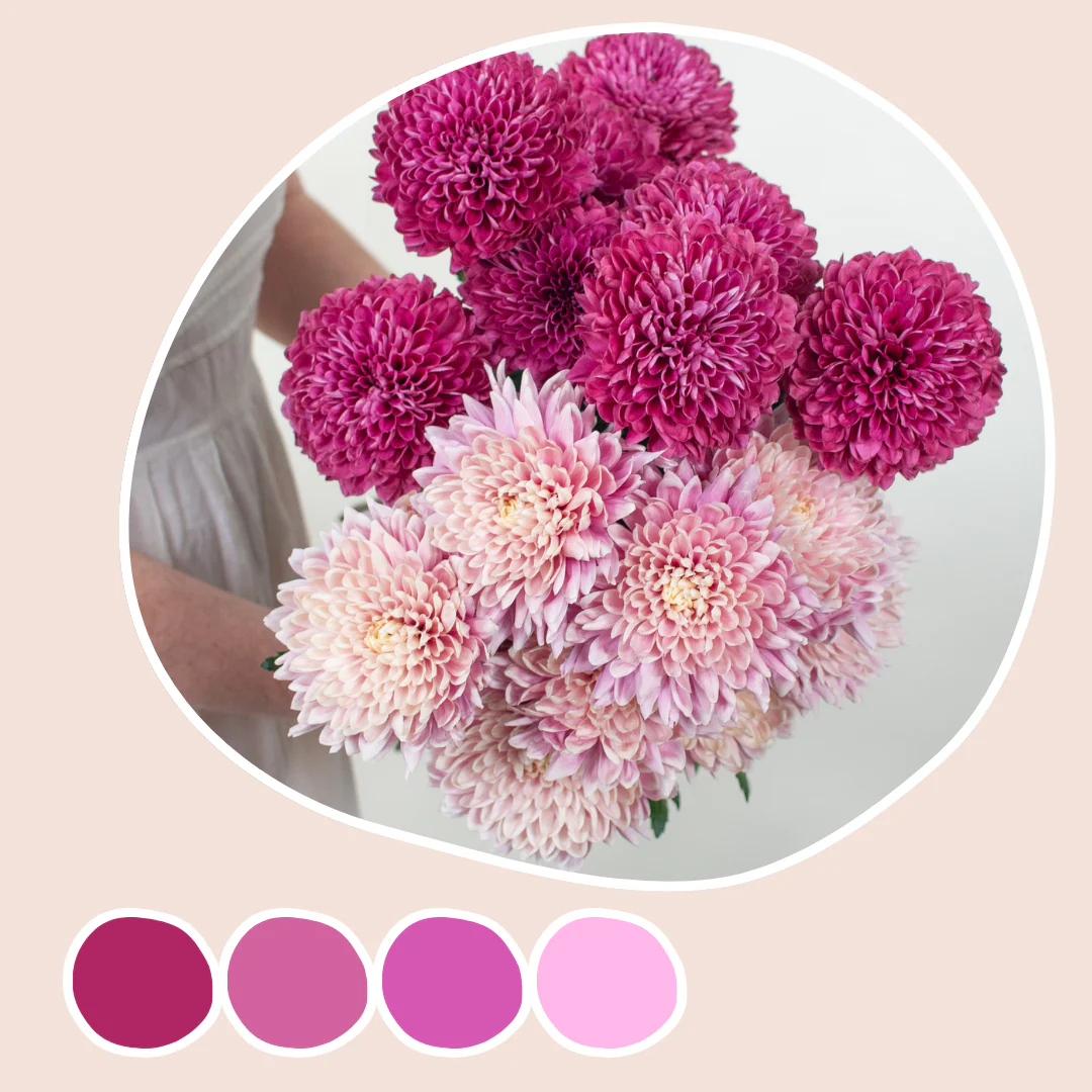 Peachy Pink and Berry Cremones Mixed Box