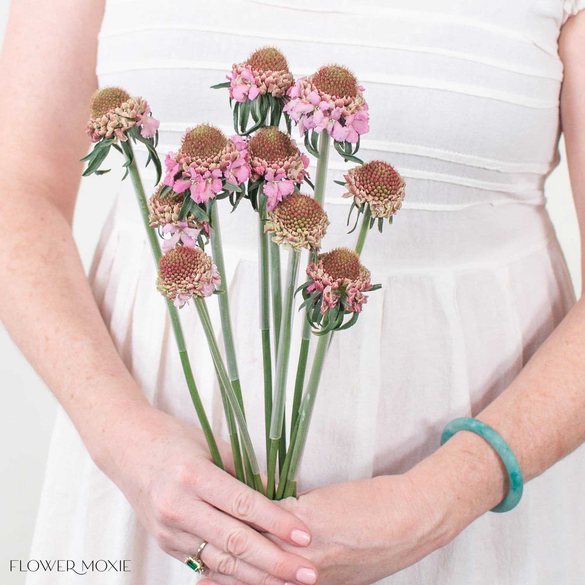 Pink Scabiosa Flower - Image 7