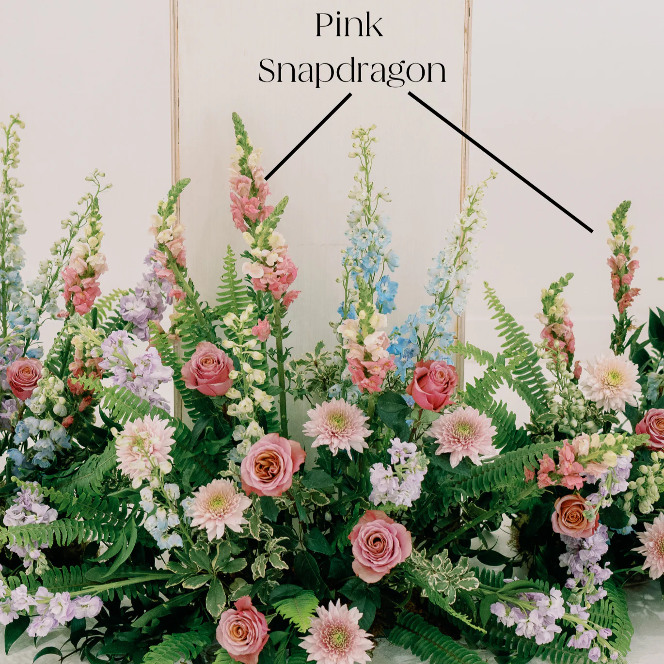 Pink Snapdragon Flower - Image 2