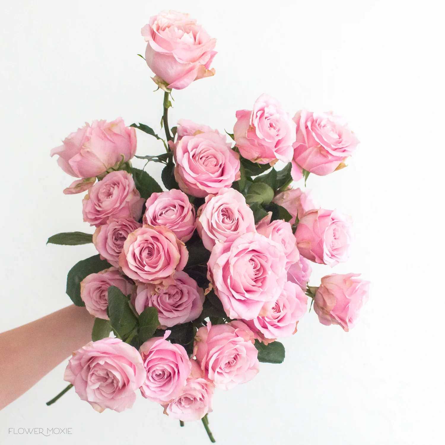 Pink Sweet for Love Rose - Image 2