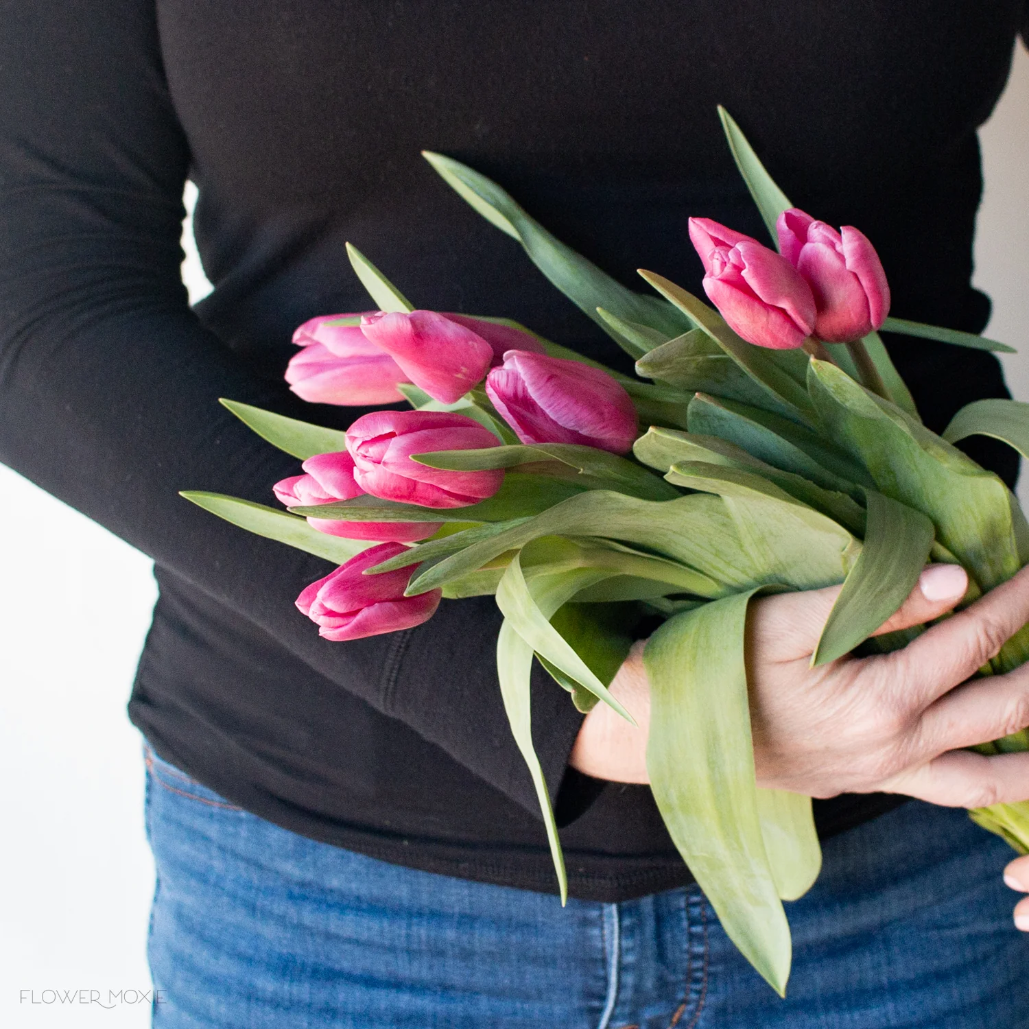 Pink Tulip Flower - Image 2