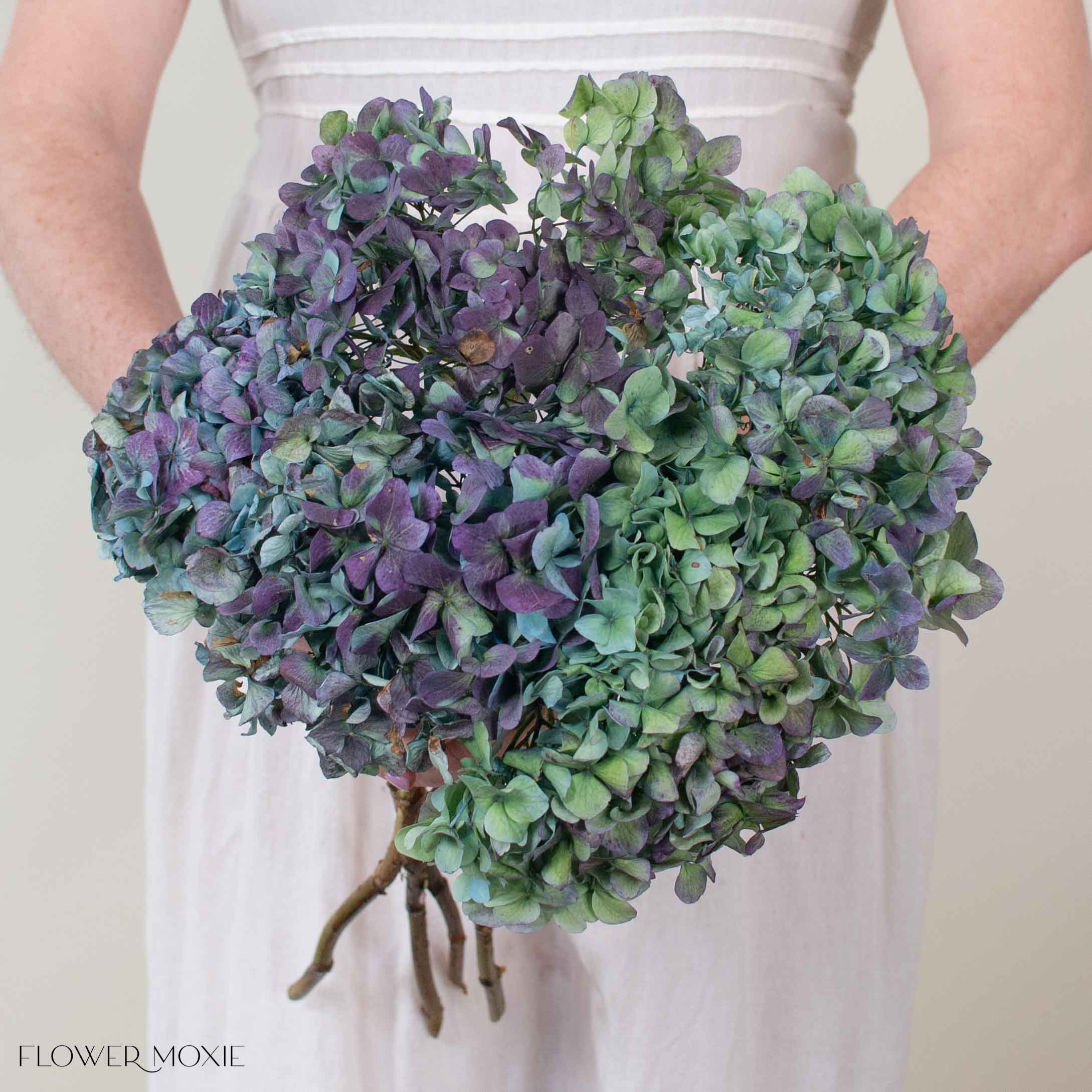 Plum Antique Hydrangea Flower