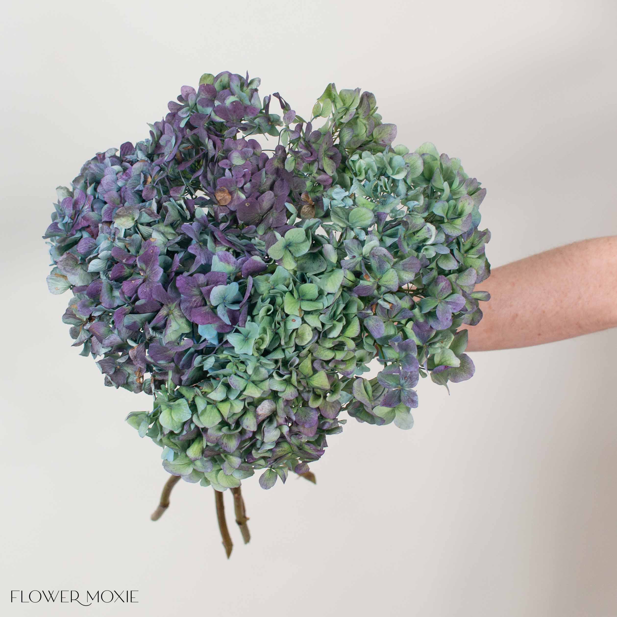 Plum Antique Hydrangea Flower - Image 2