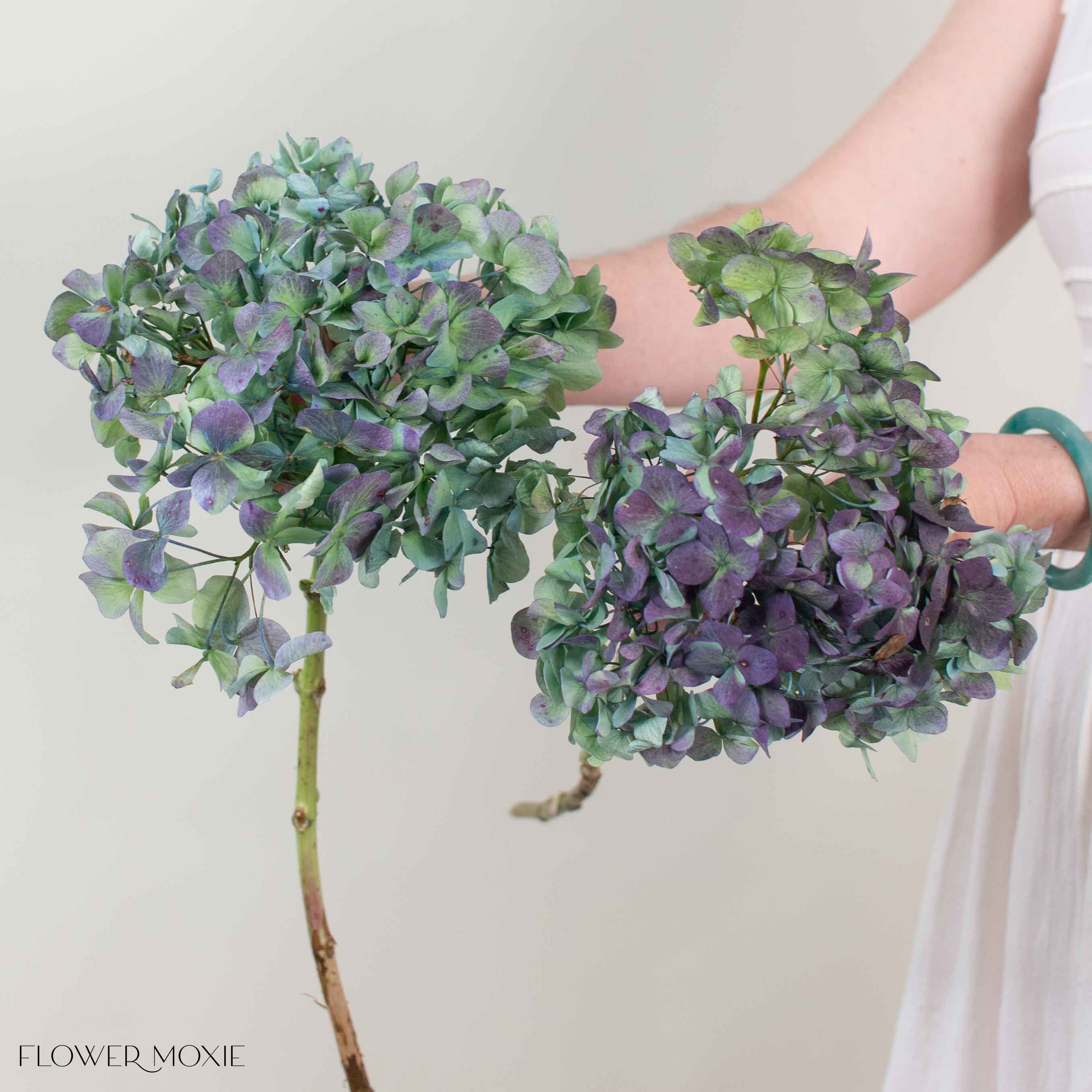 Plum Antique Hydrangea Flower - Image 3