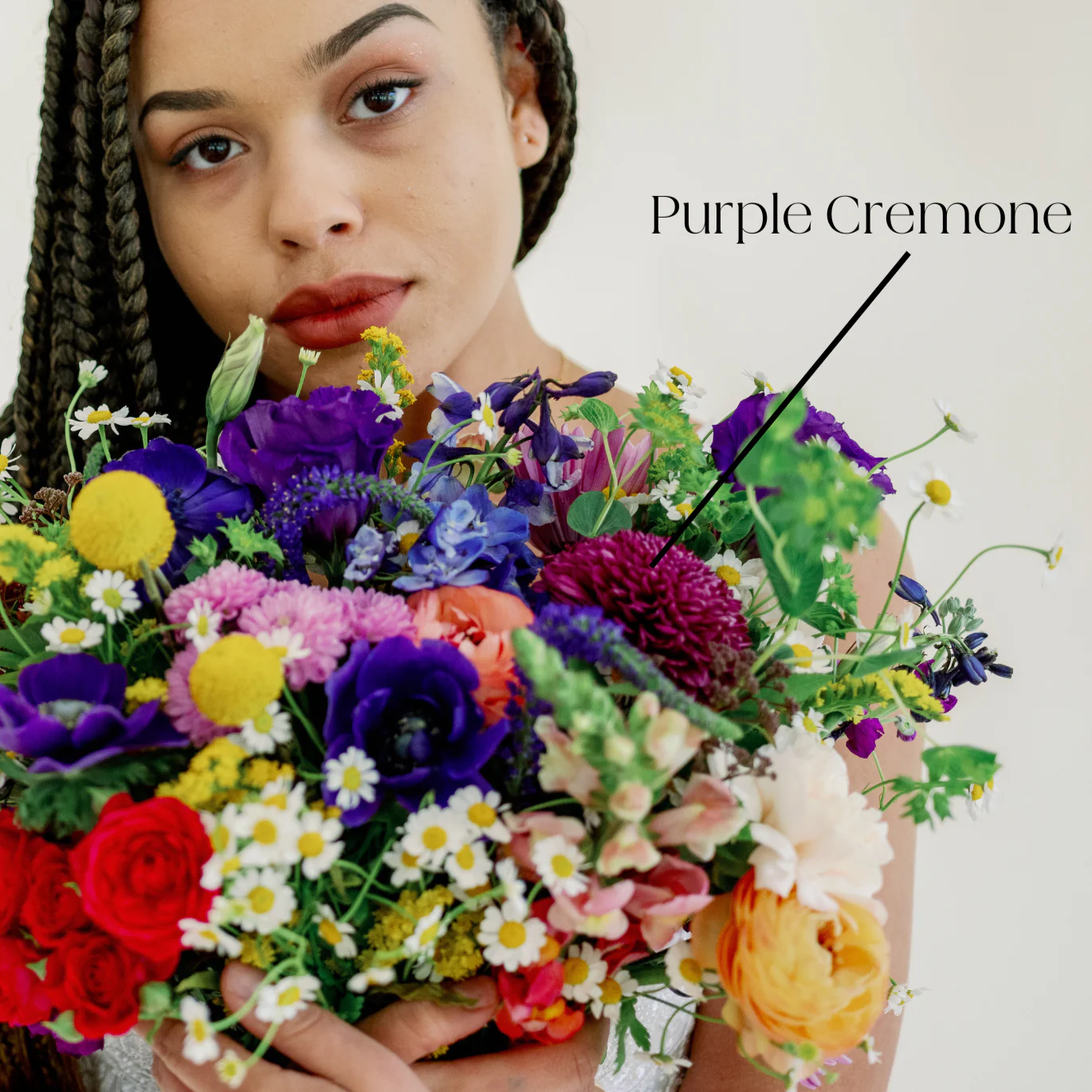 Purple Cremone Flower - Image 3