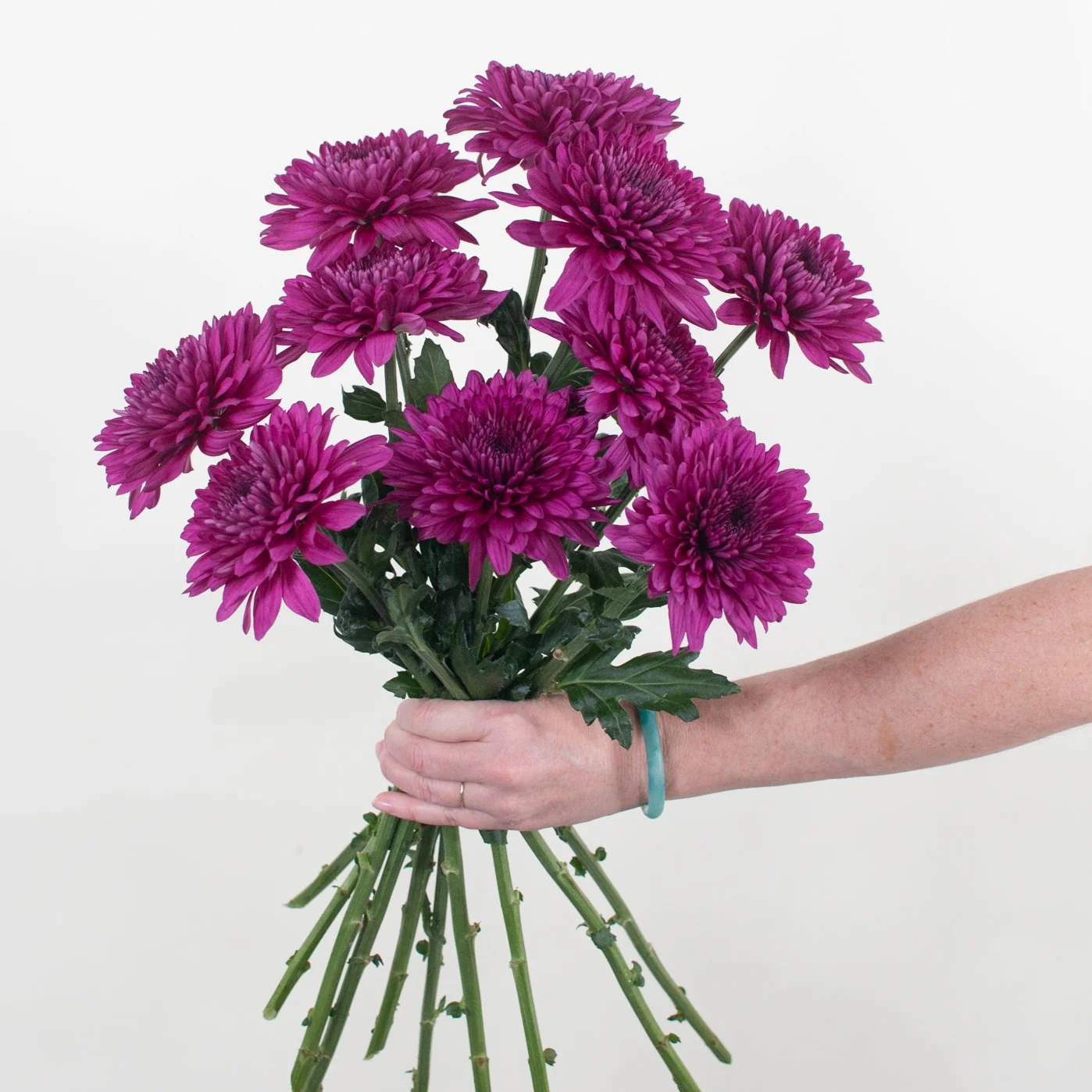 Purple Cremone Flower - Image 6