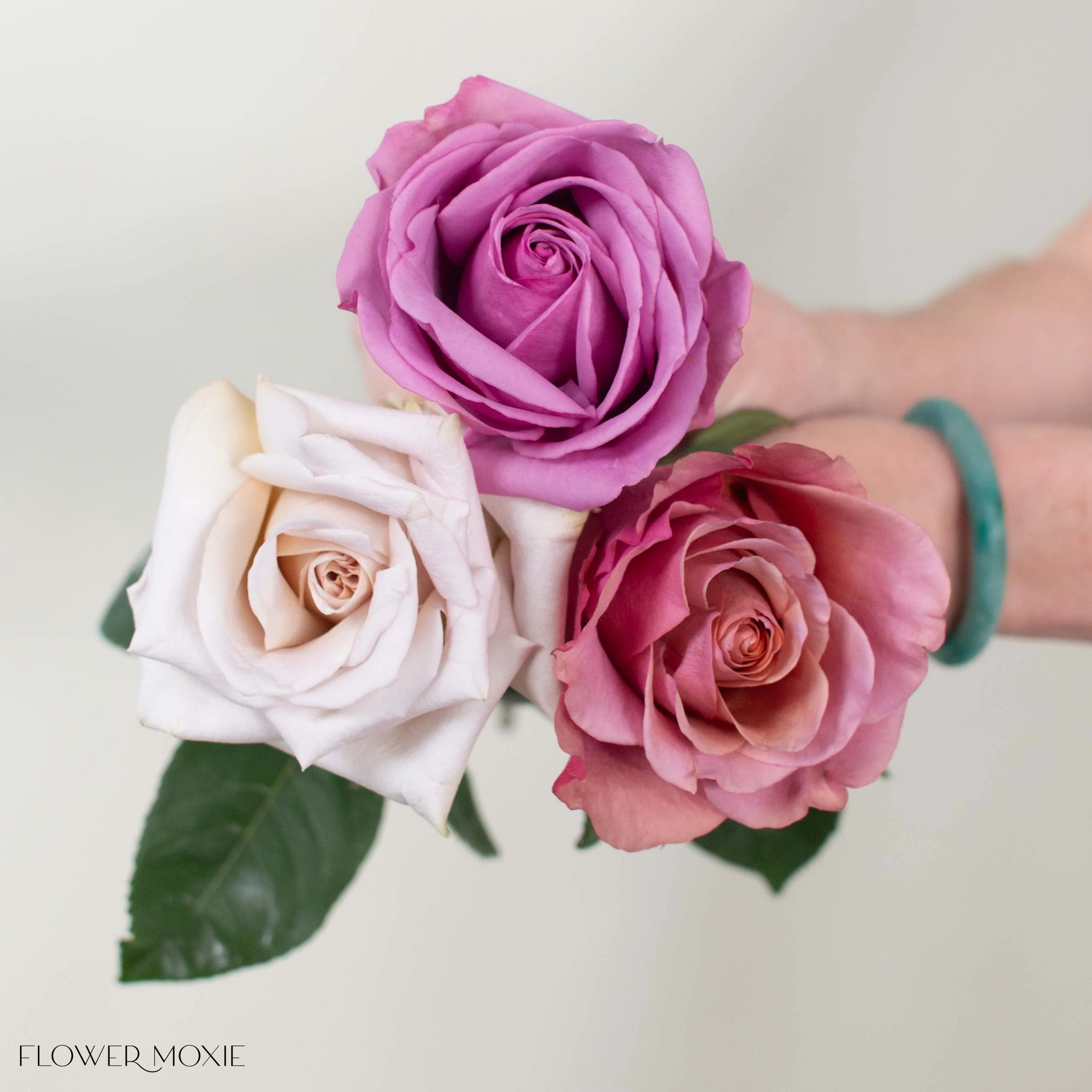 Purple Garden Rose Mix - Image 4