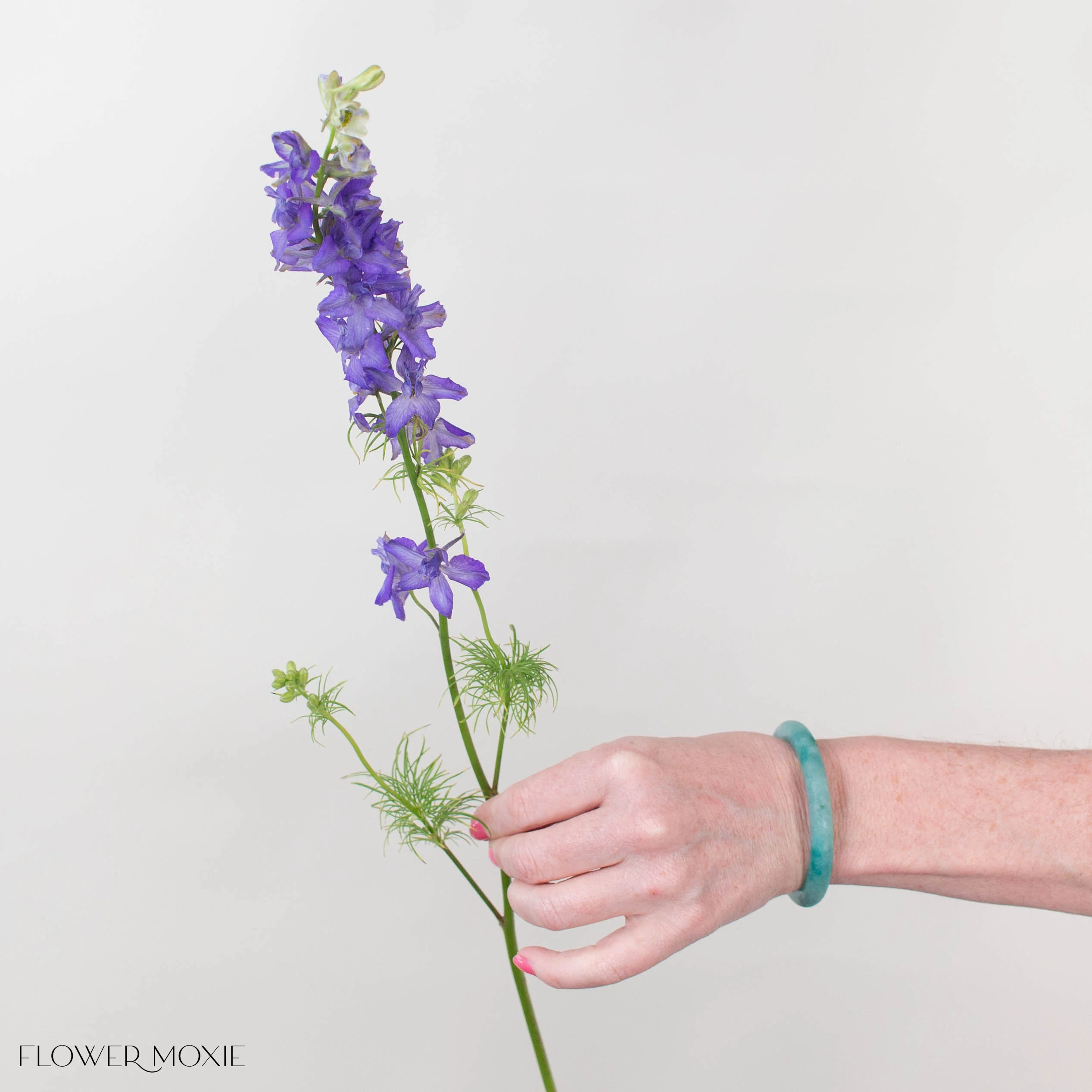 Purple Larkspur Flower - Image 2