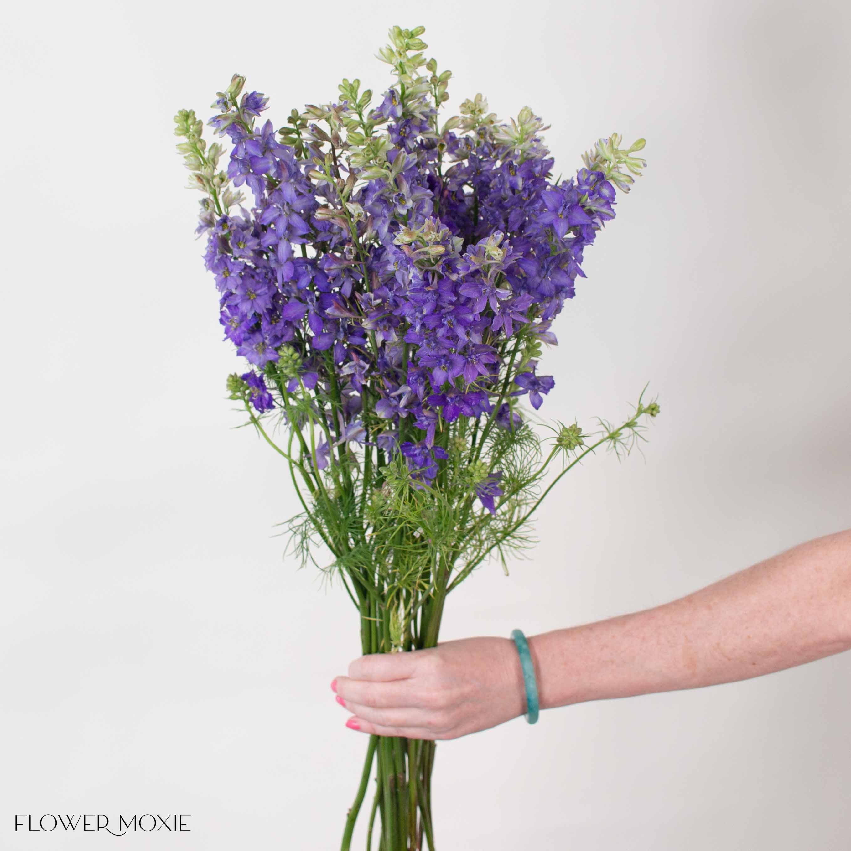 Purple Larkspur Flower - Image 4