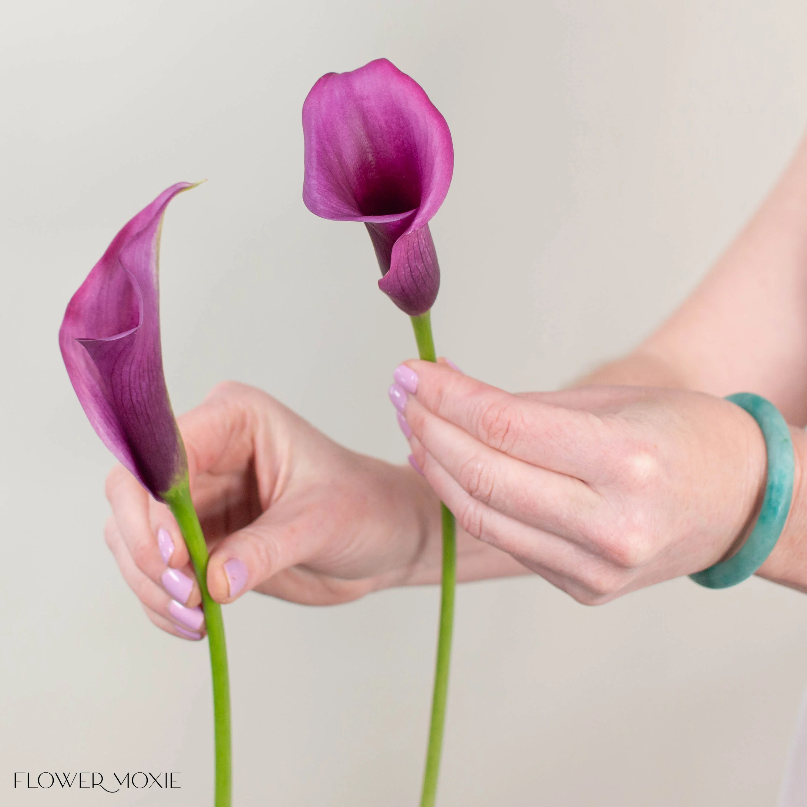 Purple Mini Calla Lily Flower - Image 3
