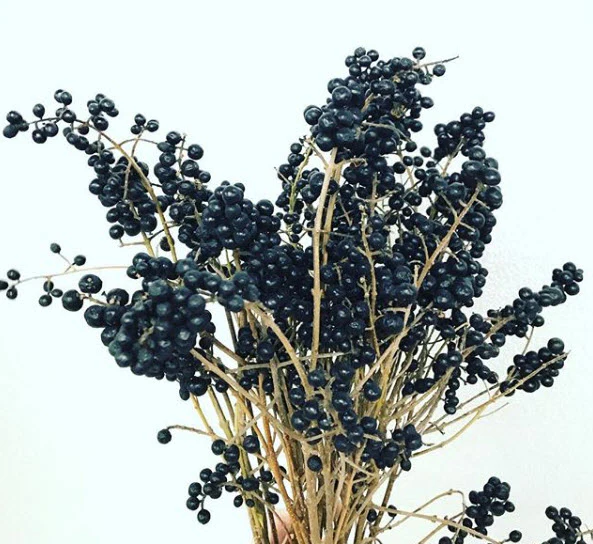 NOV-JAN ONLY - Purple Privet Berry Foliage - Image 6