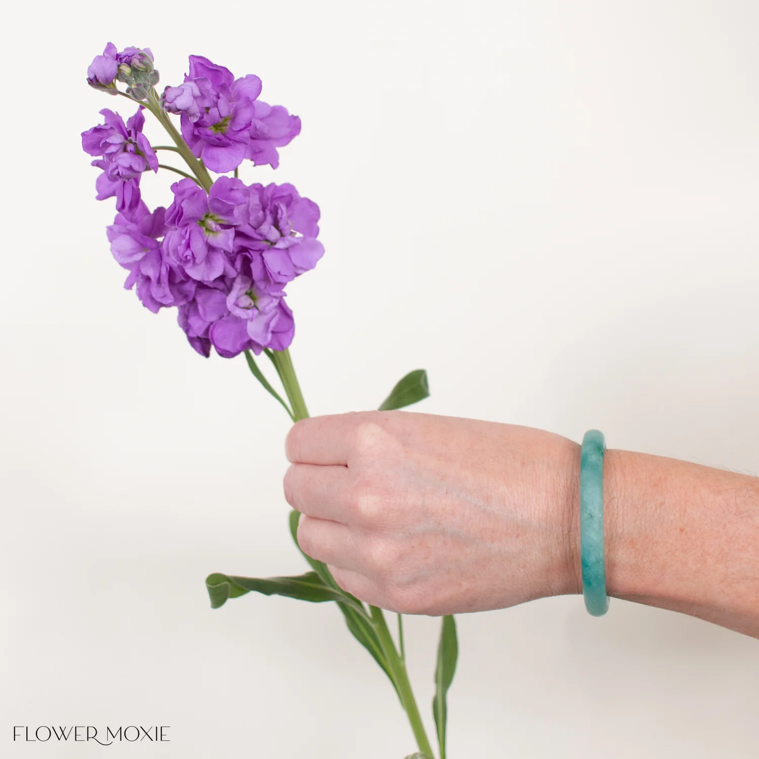 Purple Stock Flower - Image 6