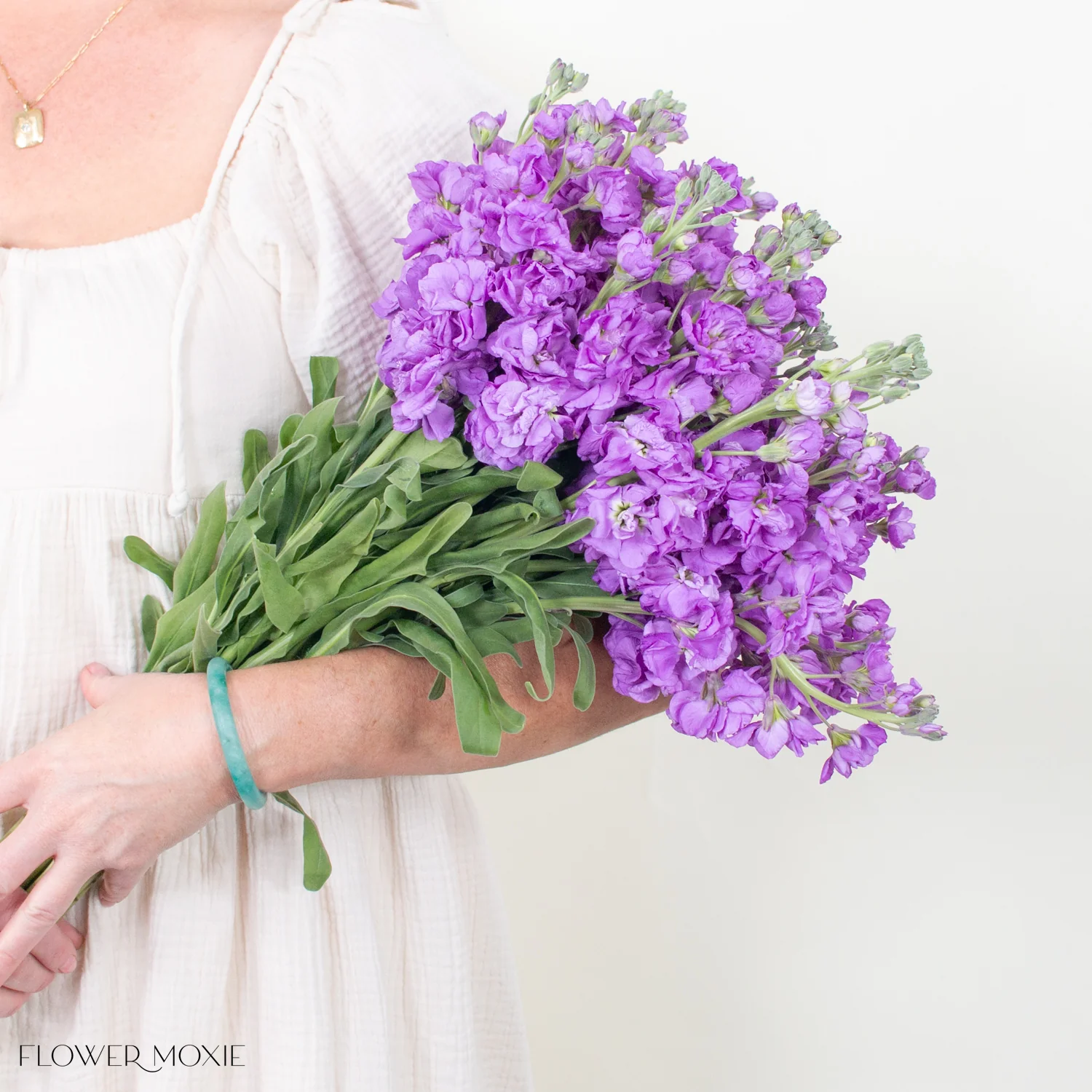 Purple Stock Flower - Image 8