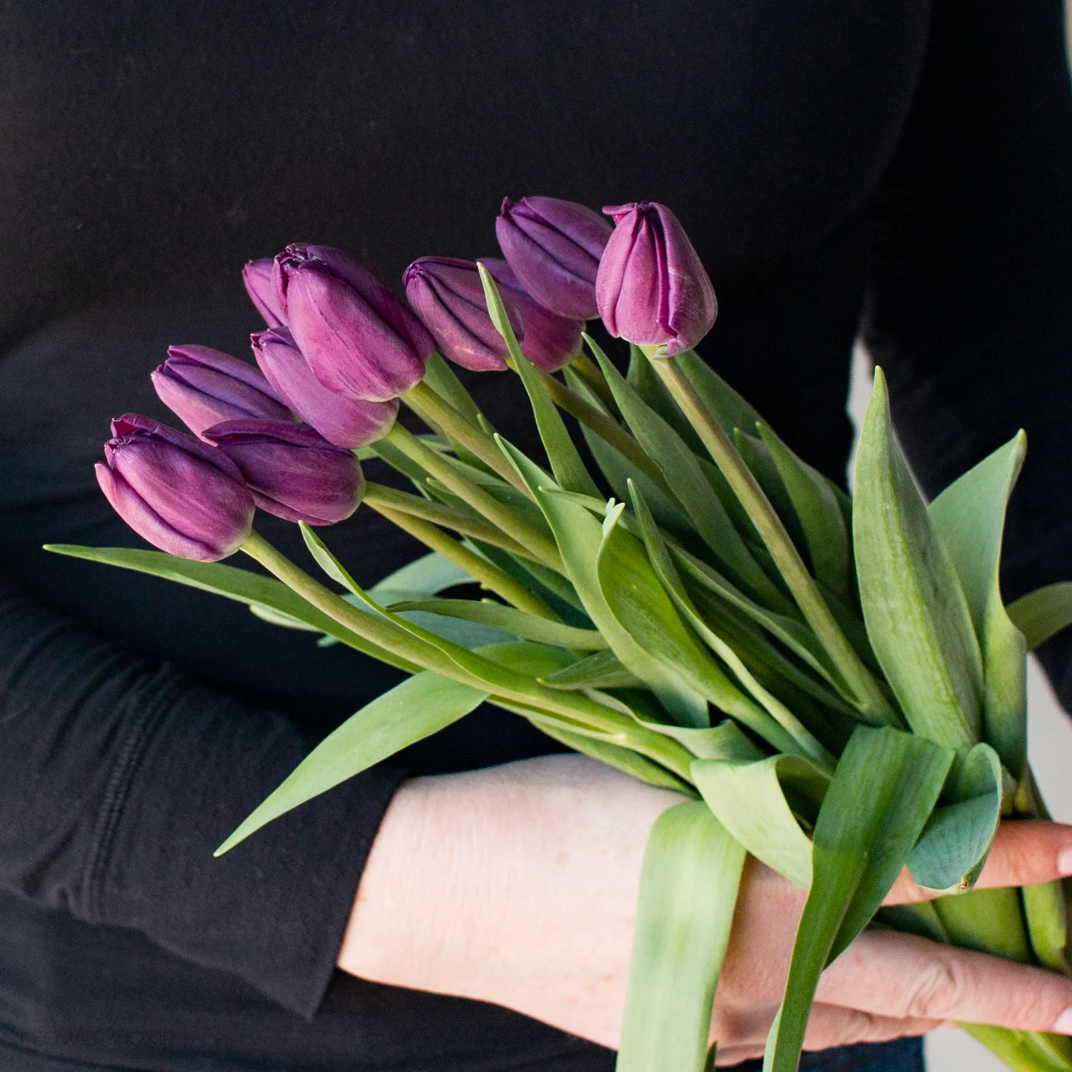 Purple Tulip Flower - Image 2