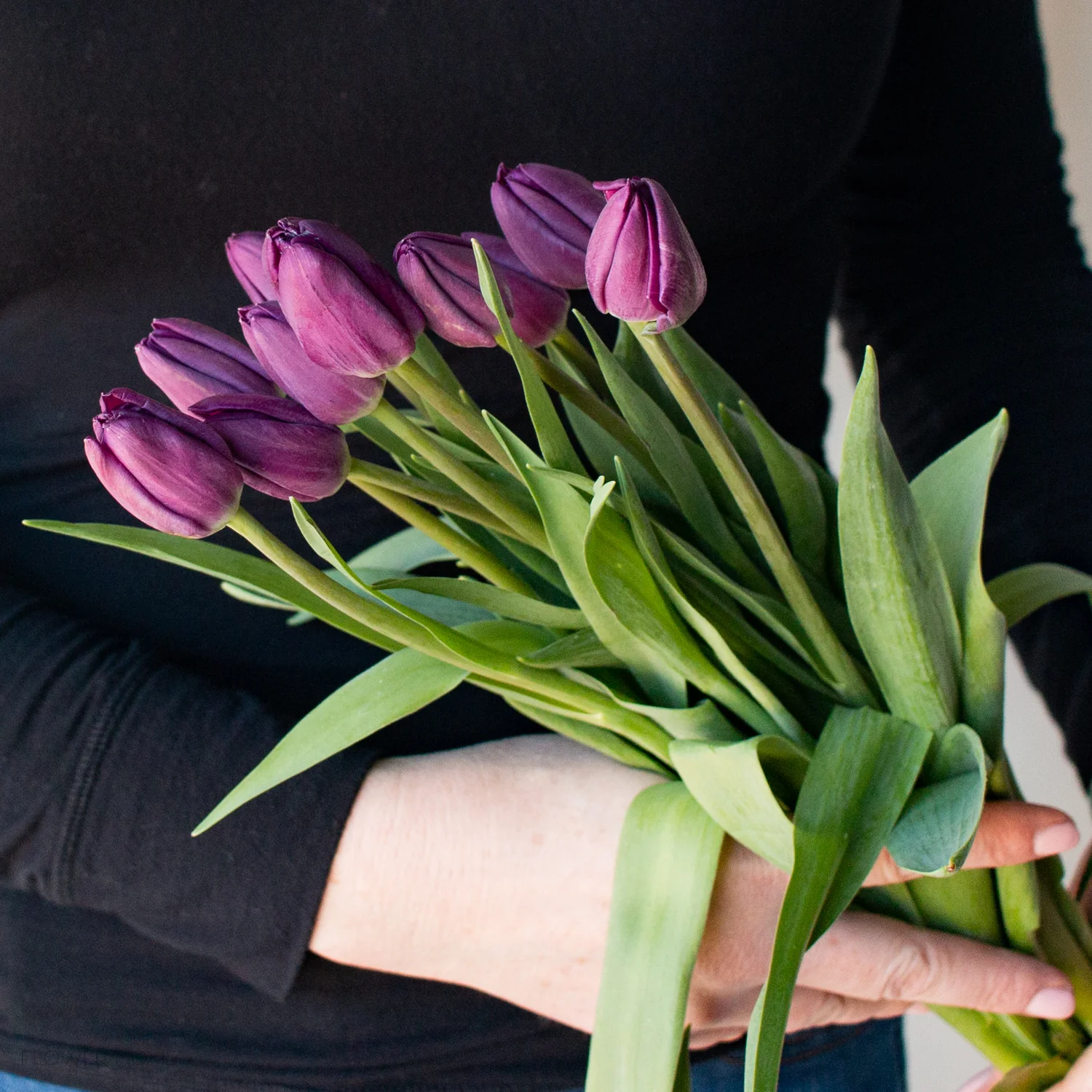 Purple Tulip Flower - Image 4