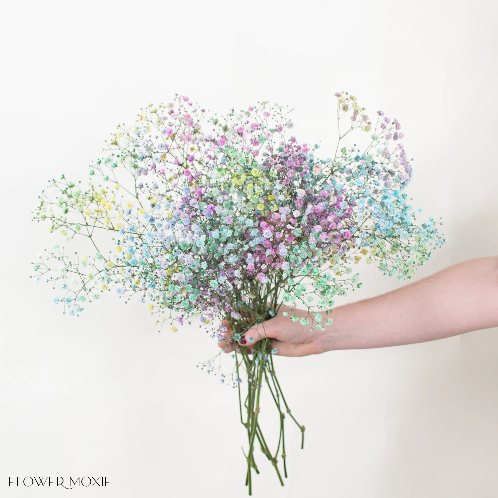 Tinted Rainbow Baby's Breath Flower - Image 4
