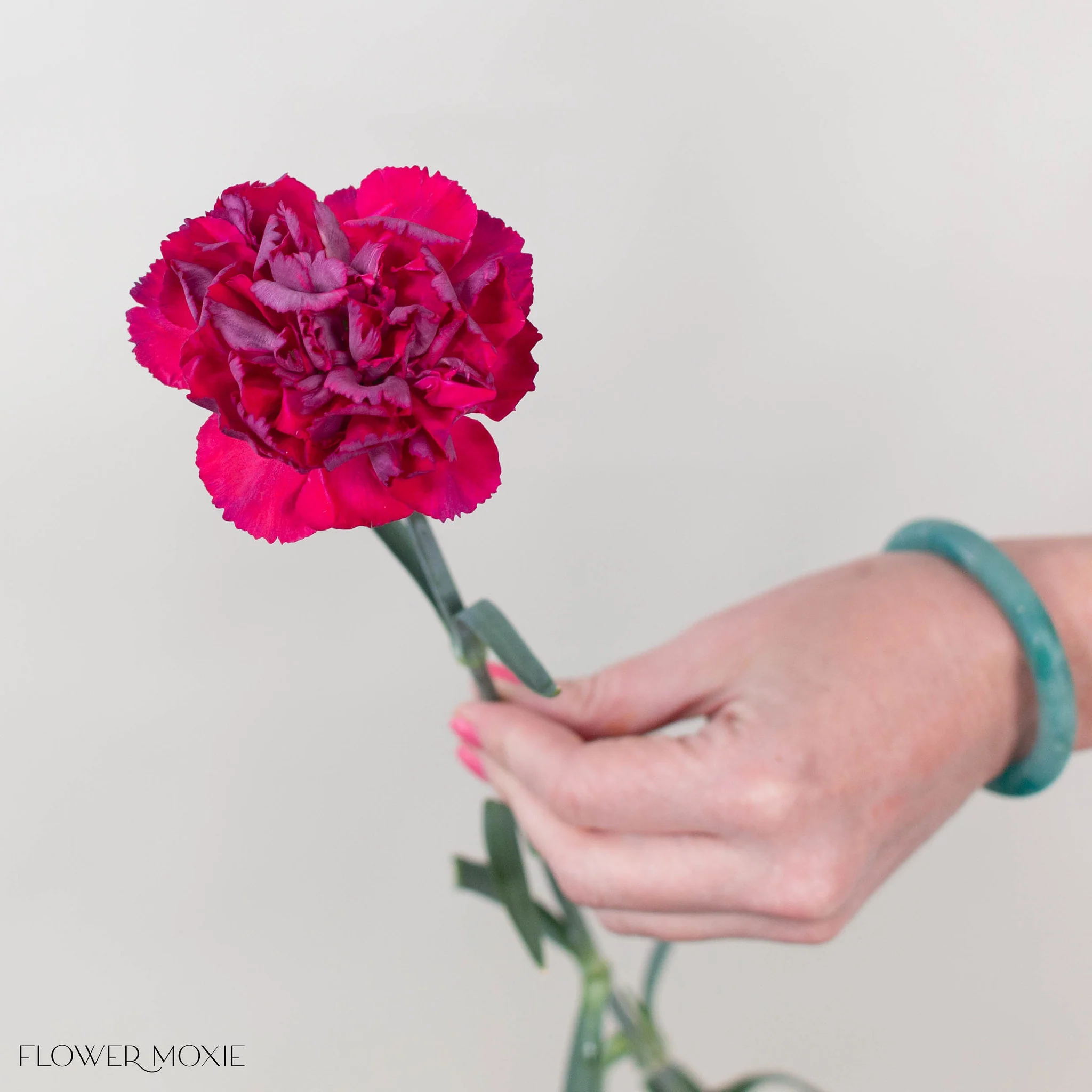 Raspberry Plum Carnation Flower - Image 2