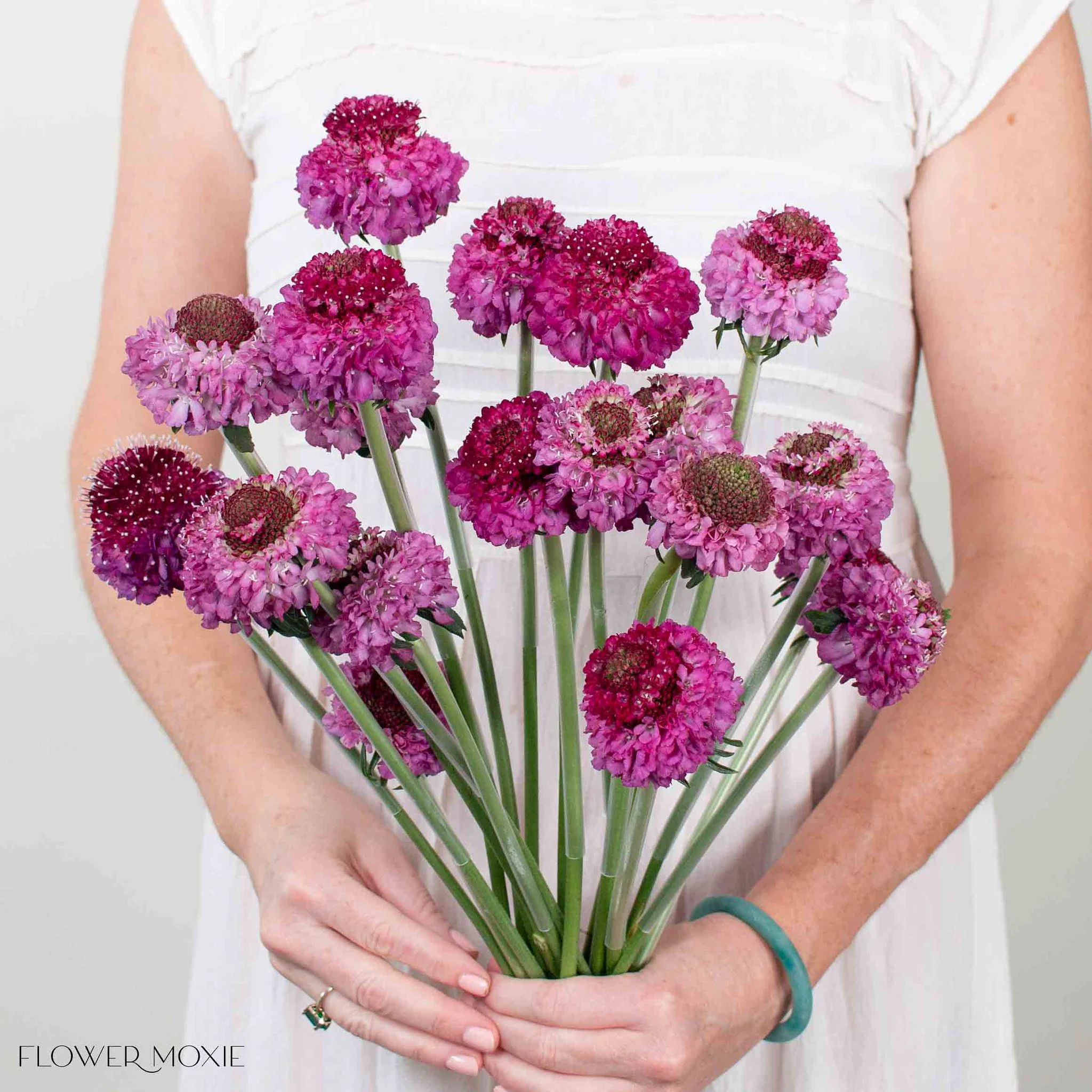 Raspberry Scabiosa Flower - Image 4