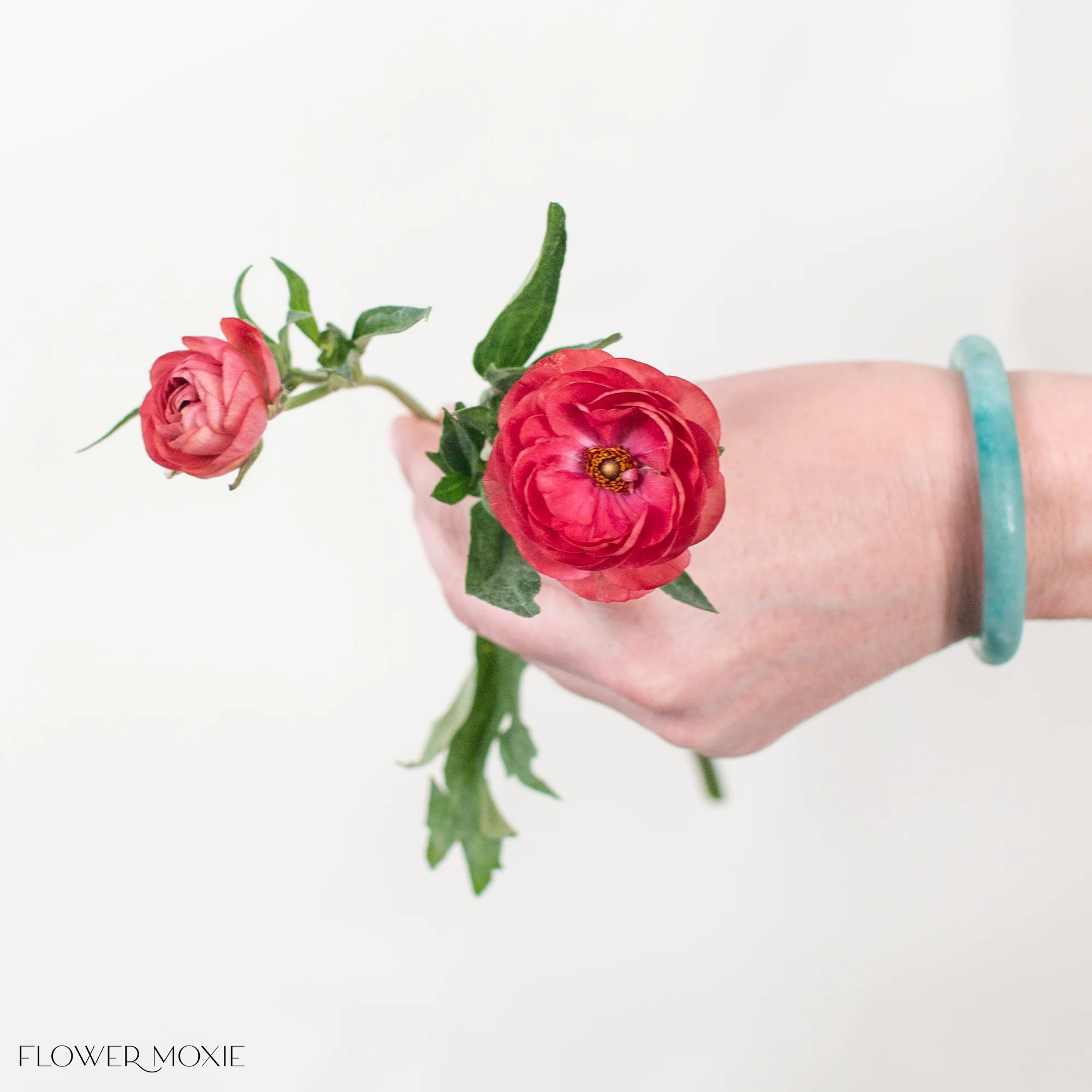 Red Butterfly Ranunculus - Image 4