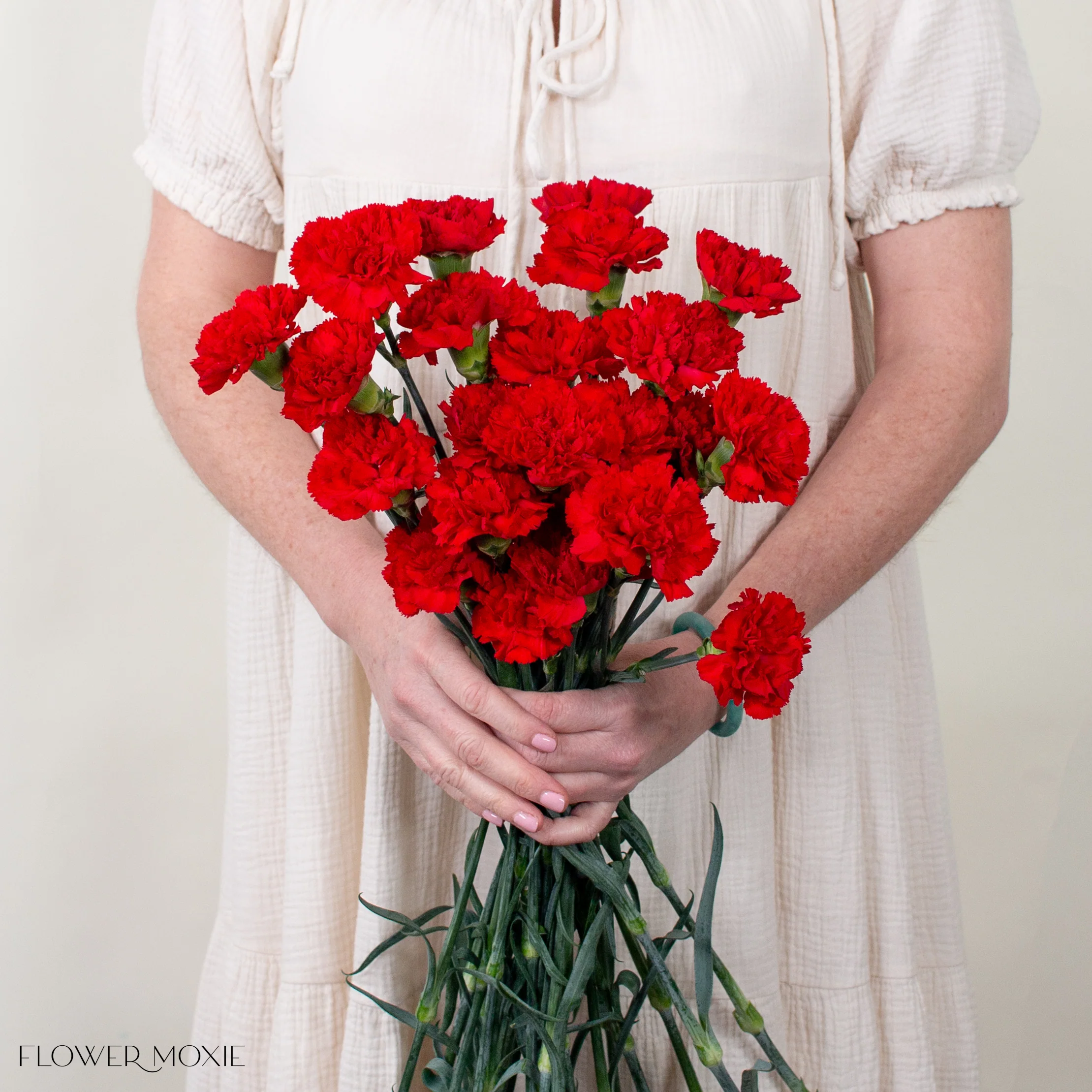 Red Carnation Flower - Image 4