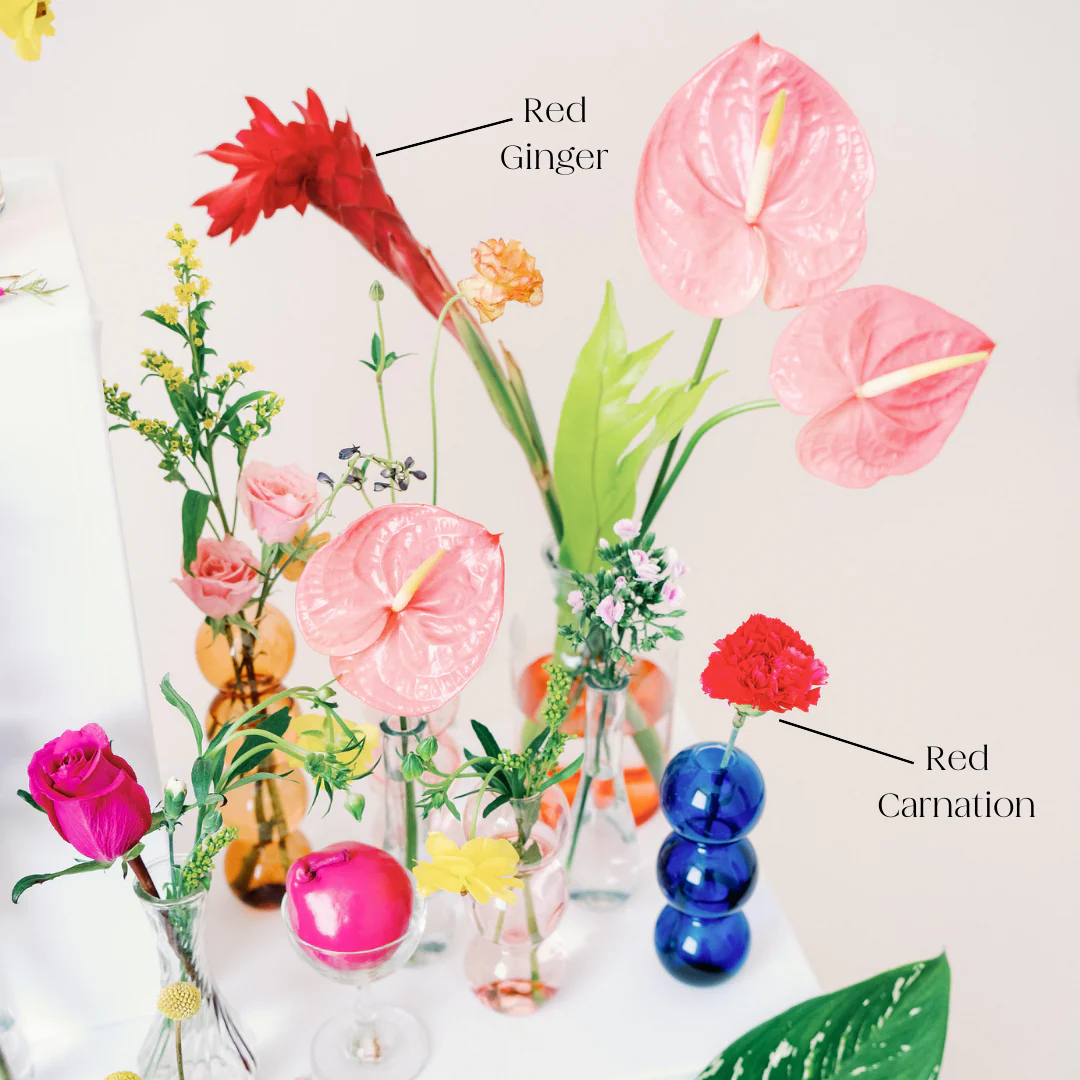 Red Carnation Flower - Image 6