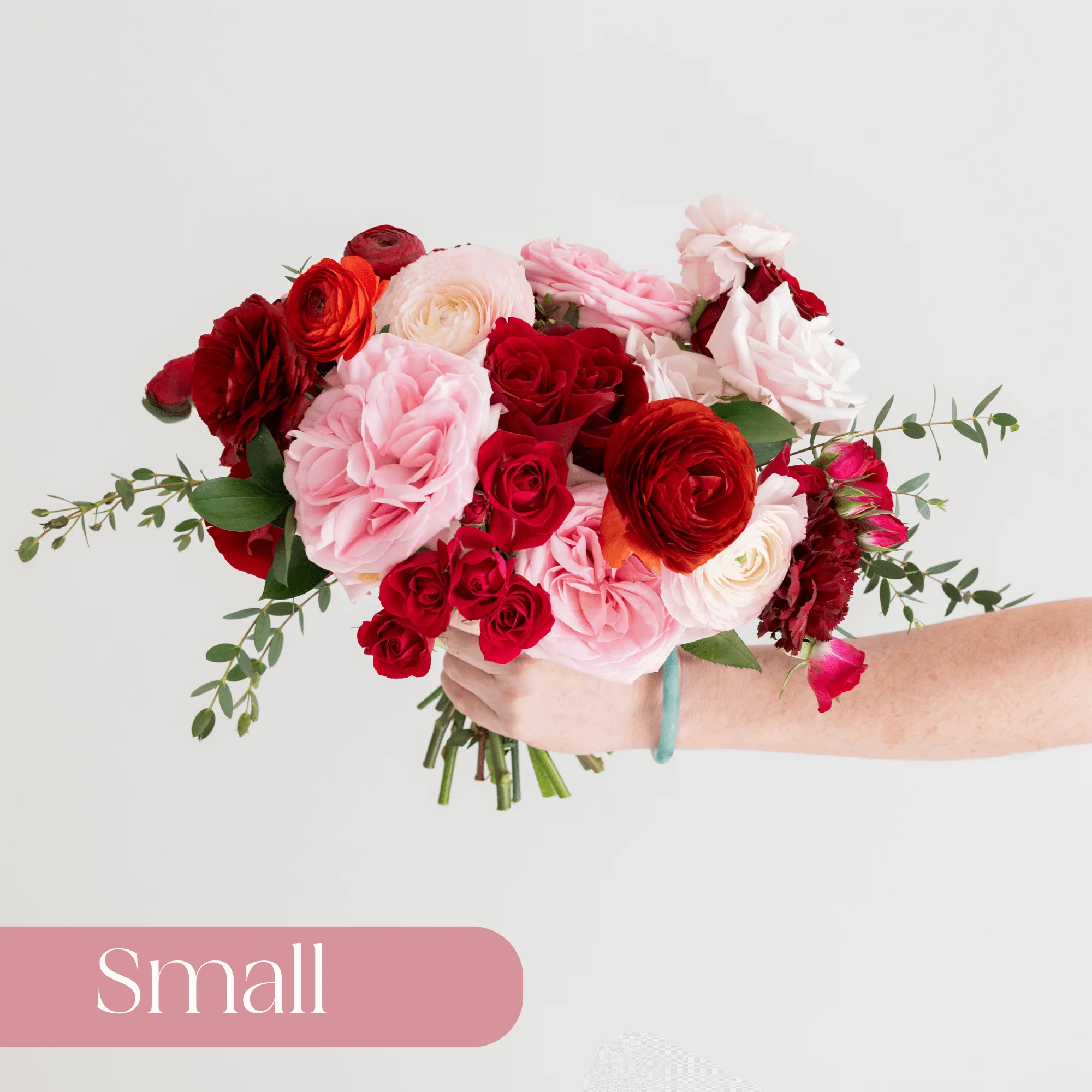 Red Currant Premade Plus - Small