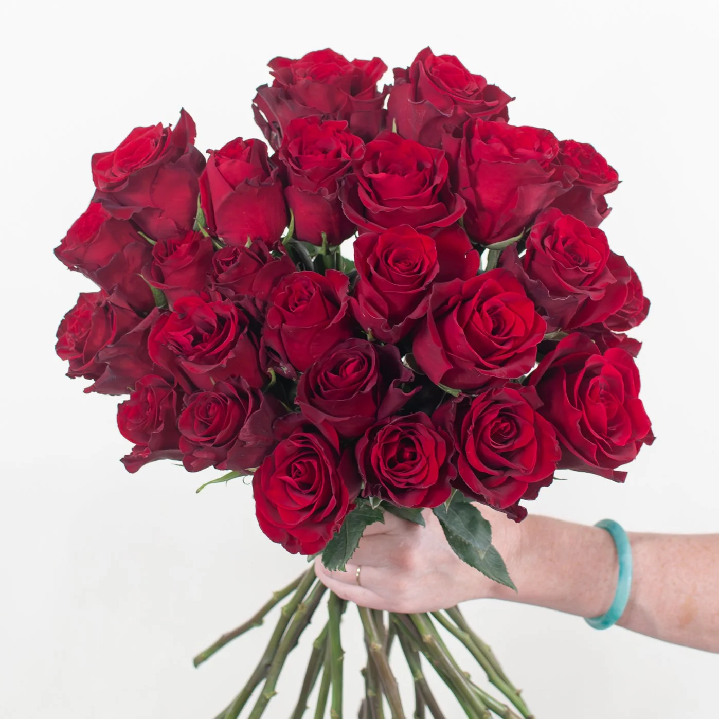 Red Explorer Rose - Image 4