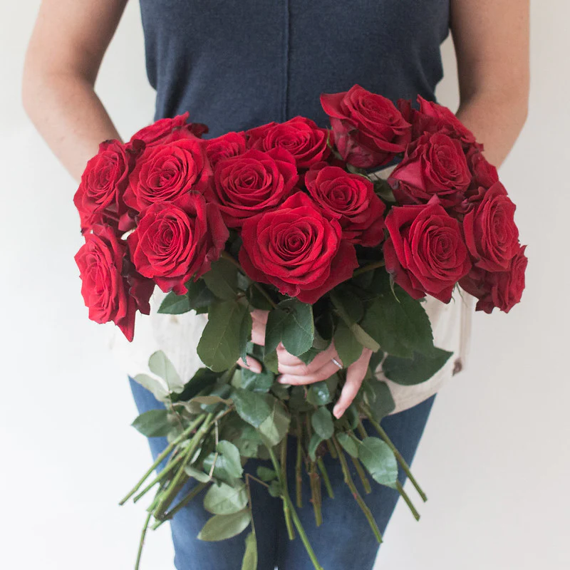 Red Freedom Rose - Image 6