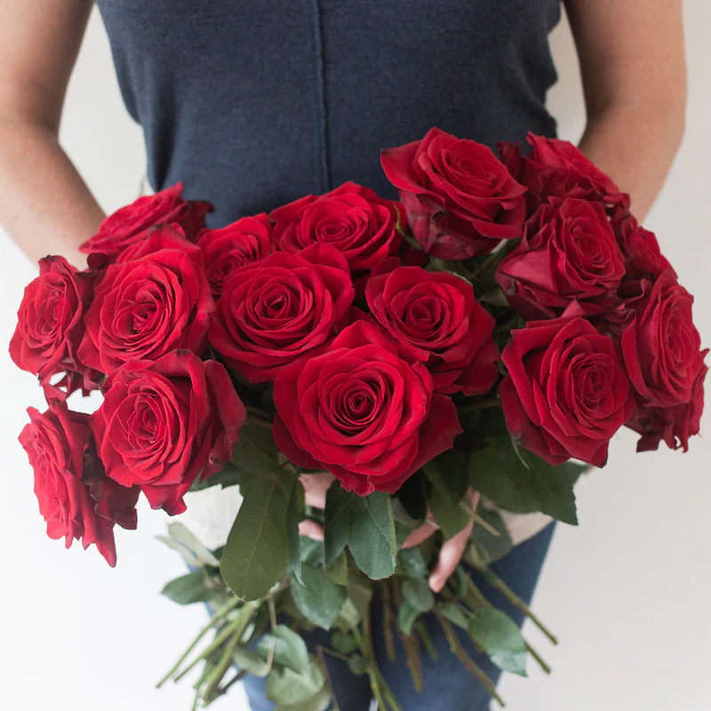 Red Freedom Rose - Image 7
