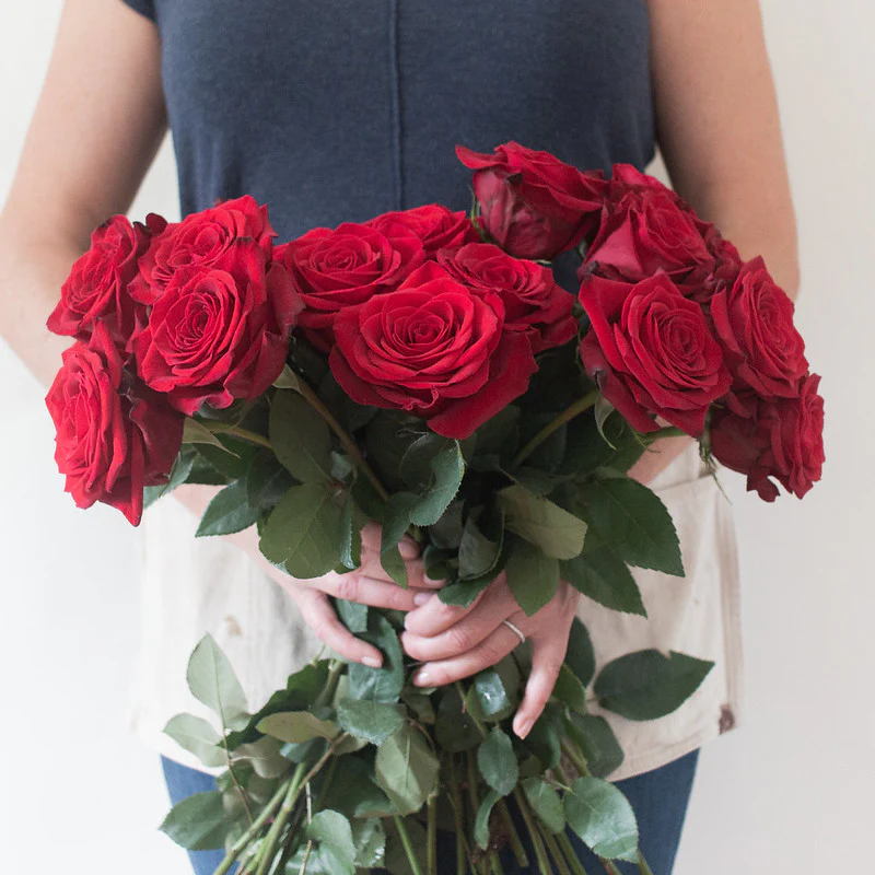 Red Freedom Rose - Image 8