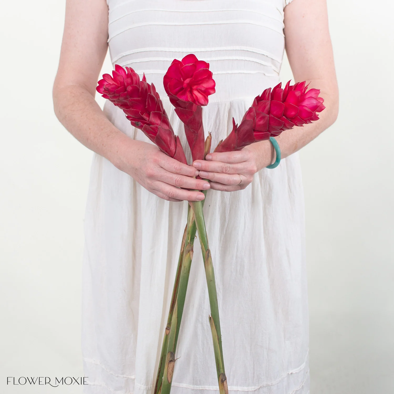 Red Ginger - Image 5
