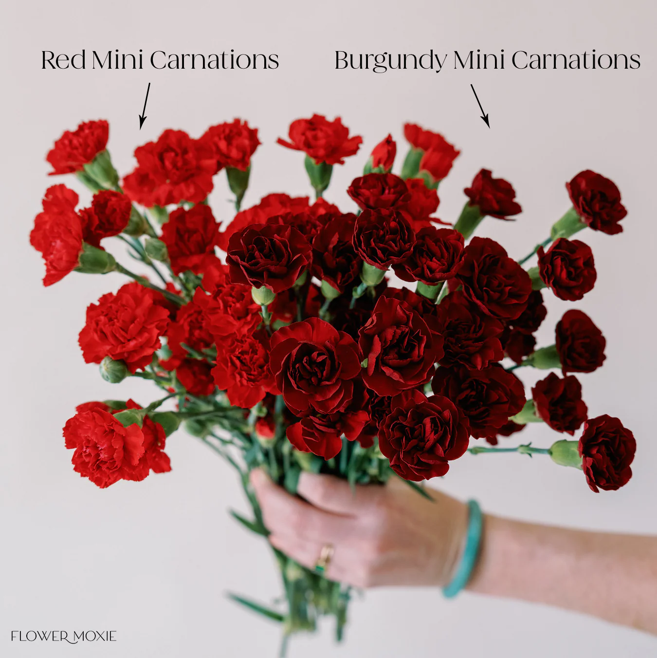 Red Mini Carnation Flower - Image 4
