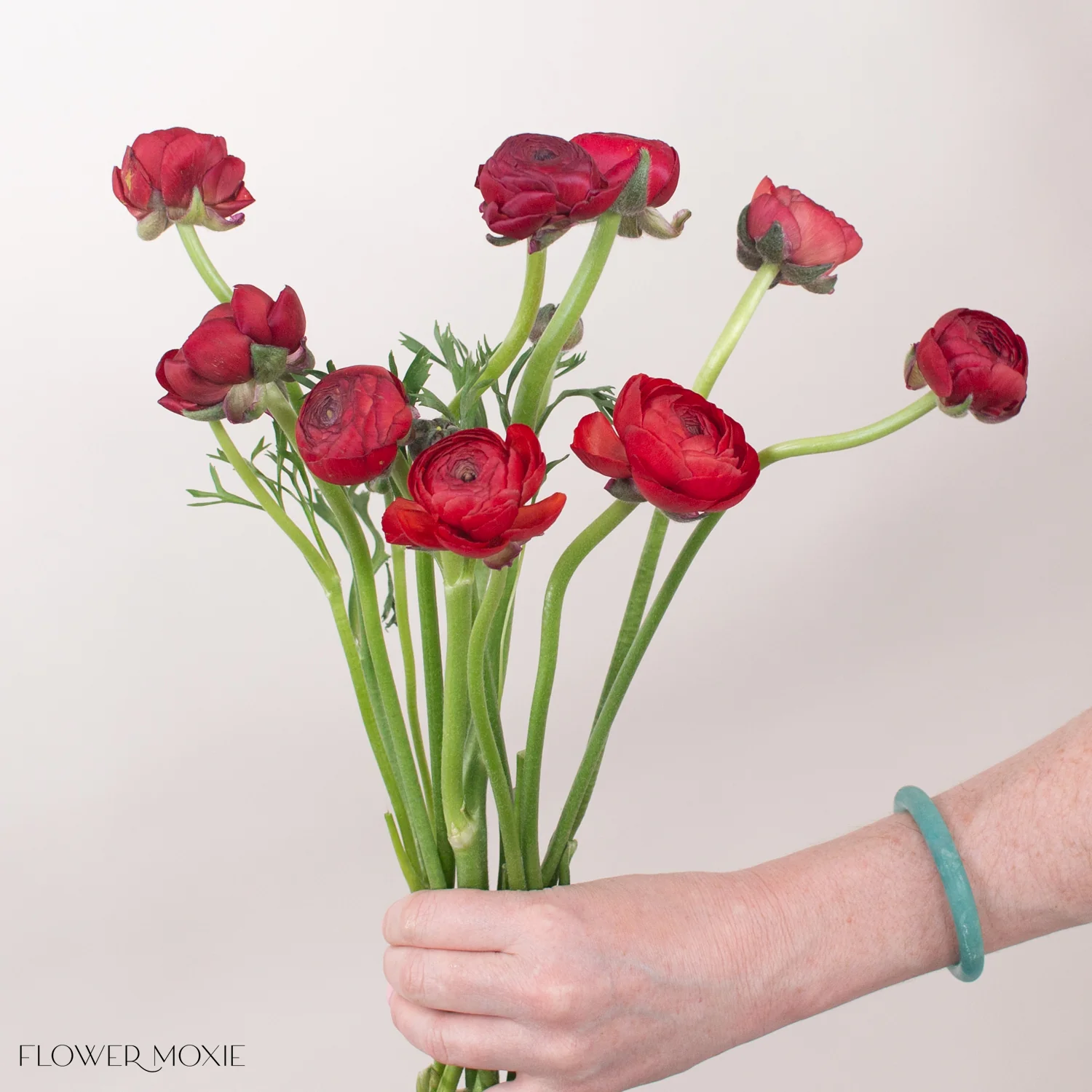 Red Ranunculus Flower - Image 4