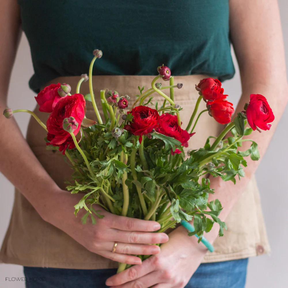 Red Ranunculus Flower - Image 5