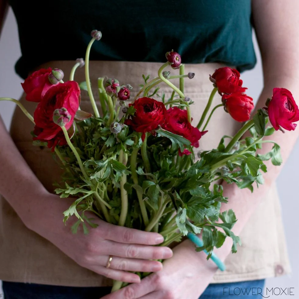 Red Ranunculus Flower - Image 7