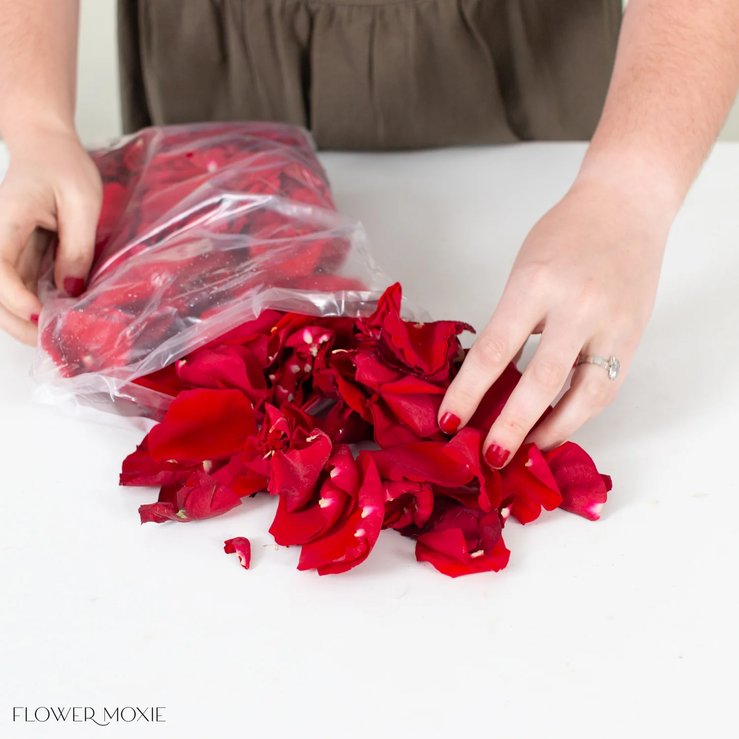 Red Rose Petals - Image 2