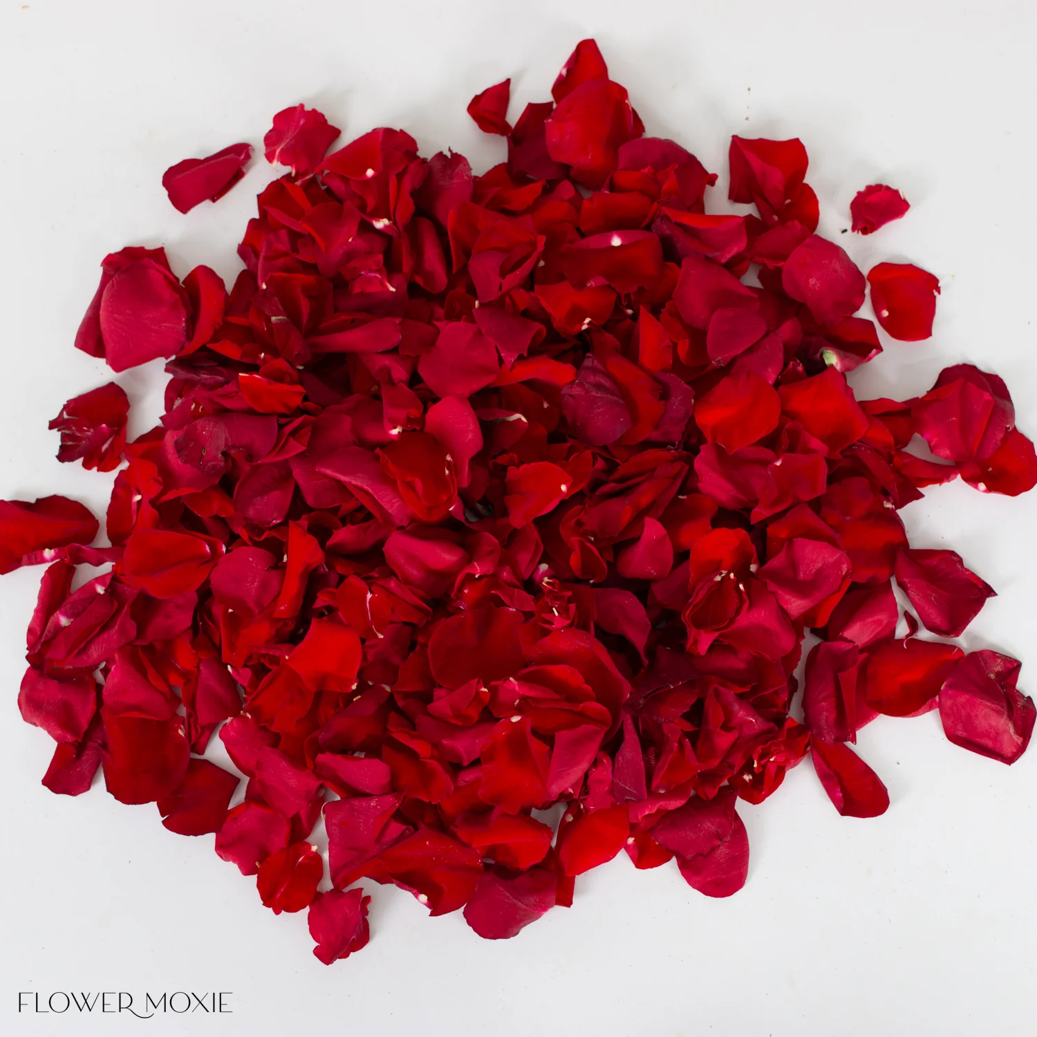 Red Rose Petals - Image 3