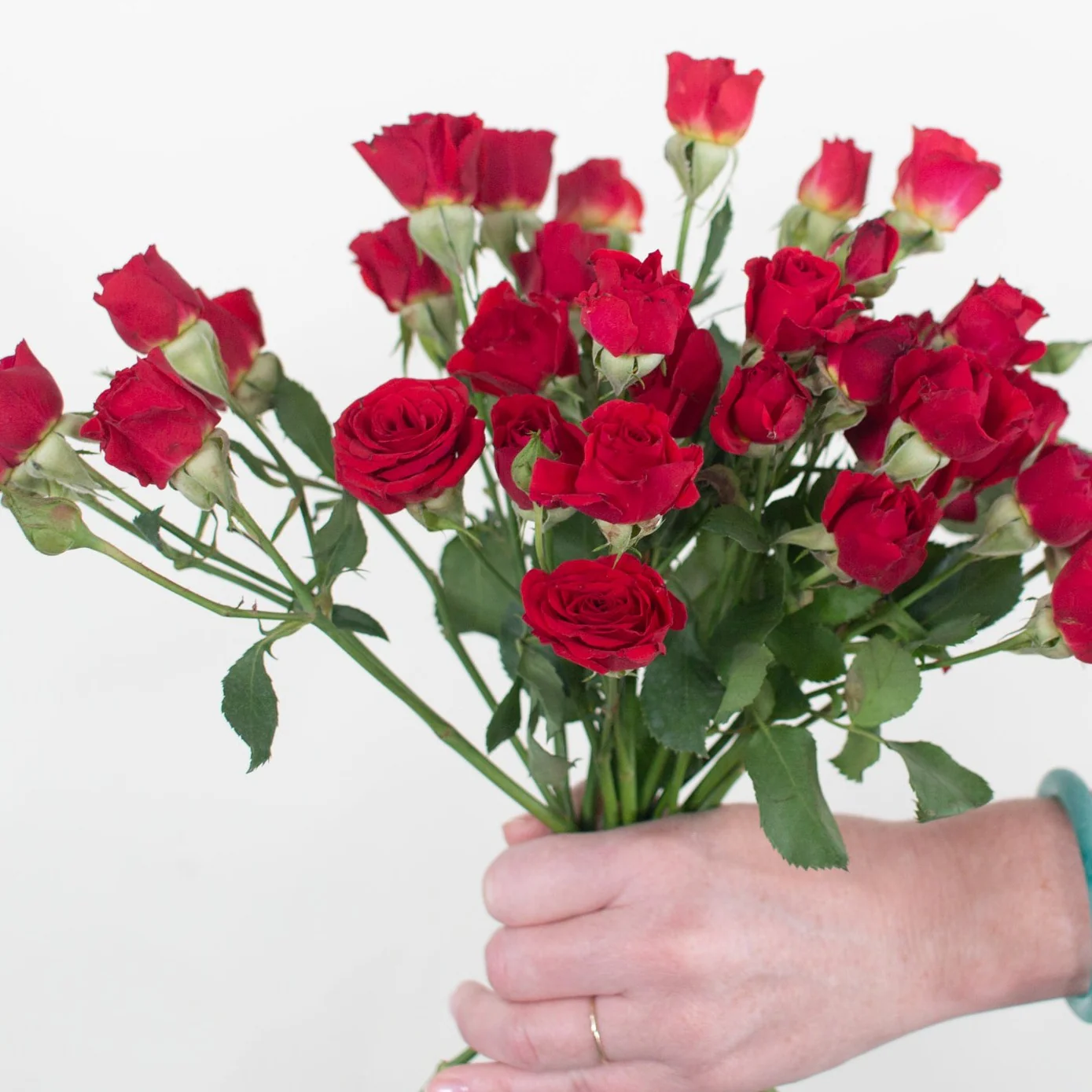 Red Spray Roses - Image 7