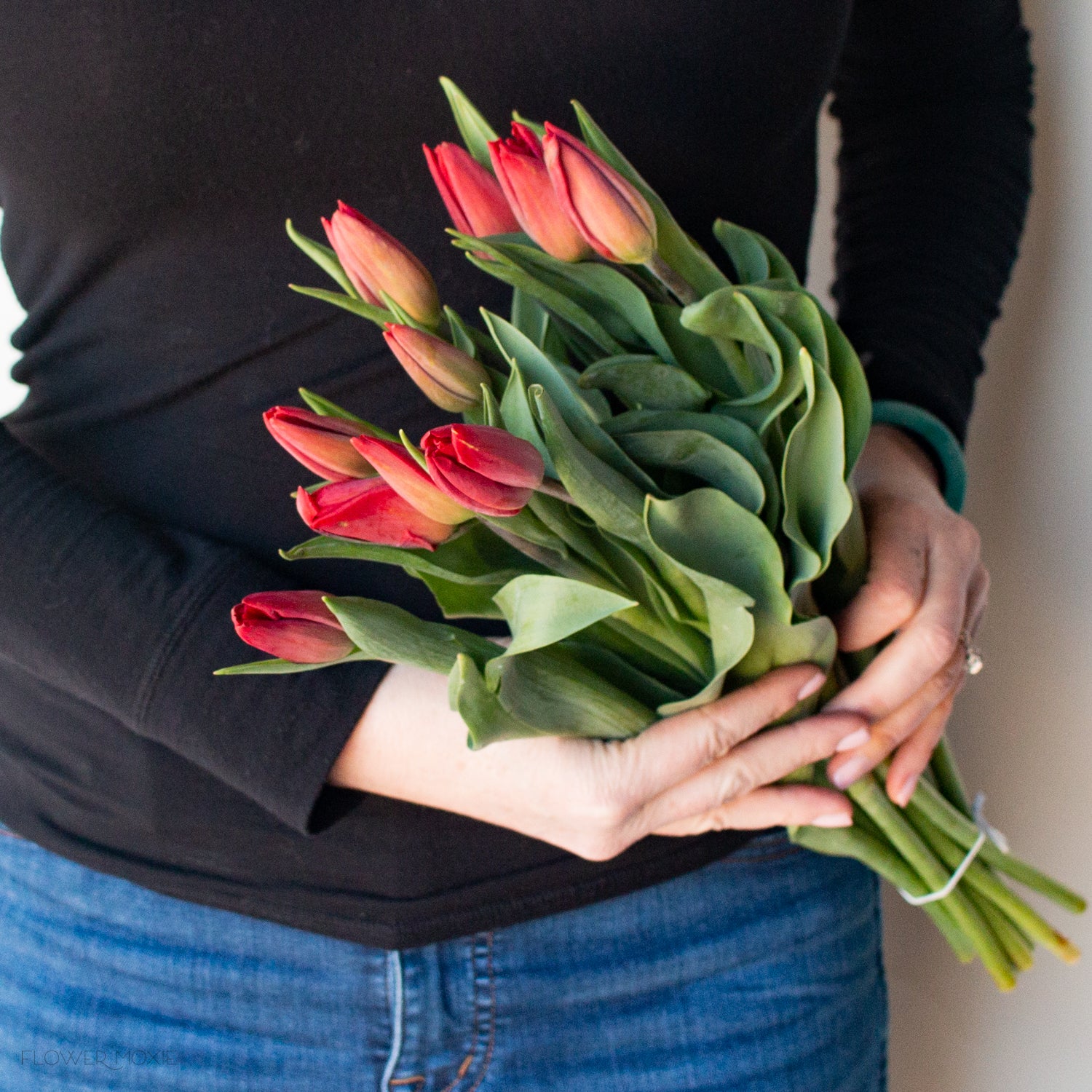 Red Tulip Flower - Image 4