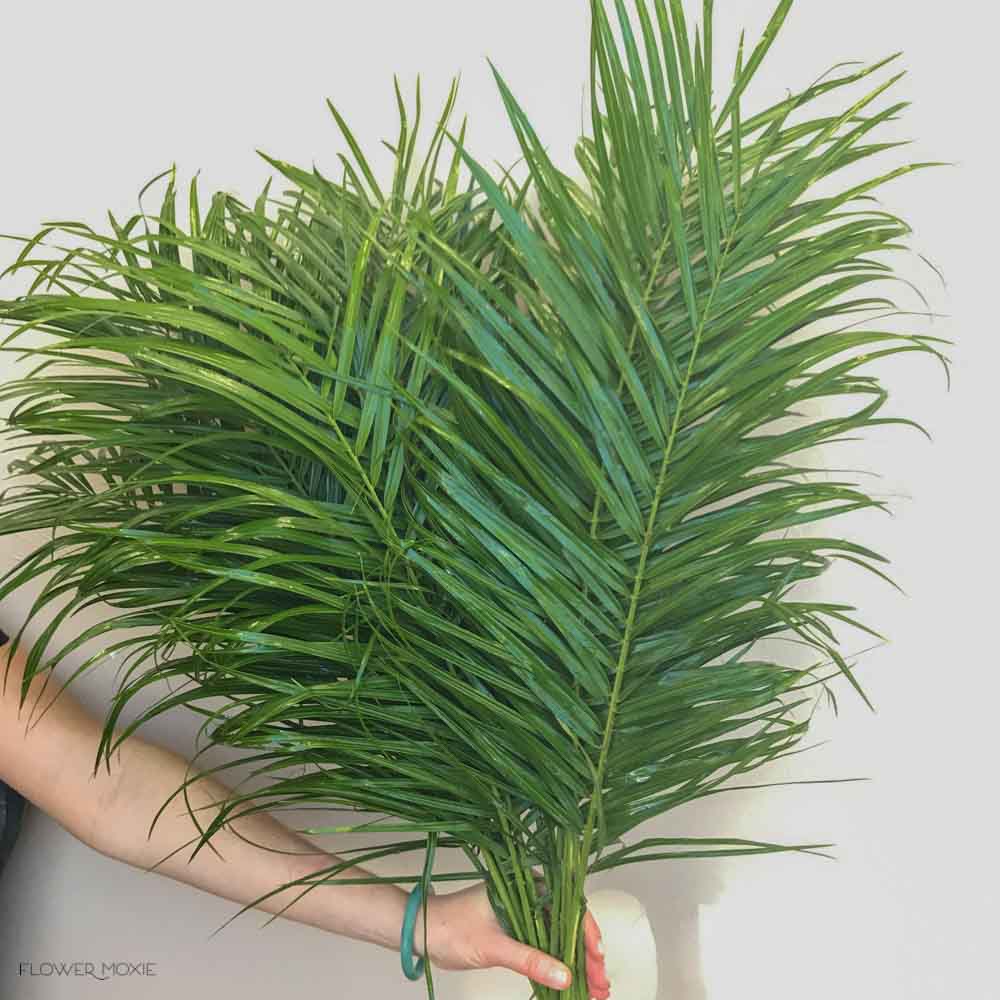 Robellini Palm Greenery - Image 11