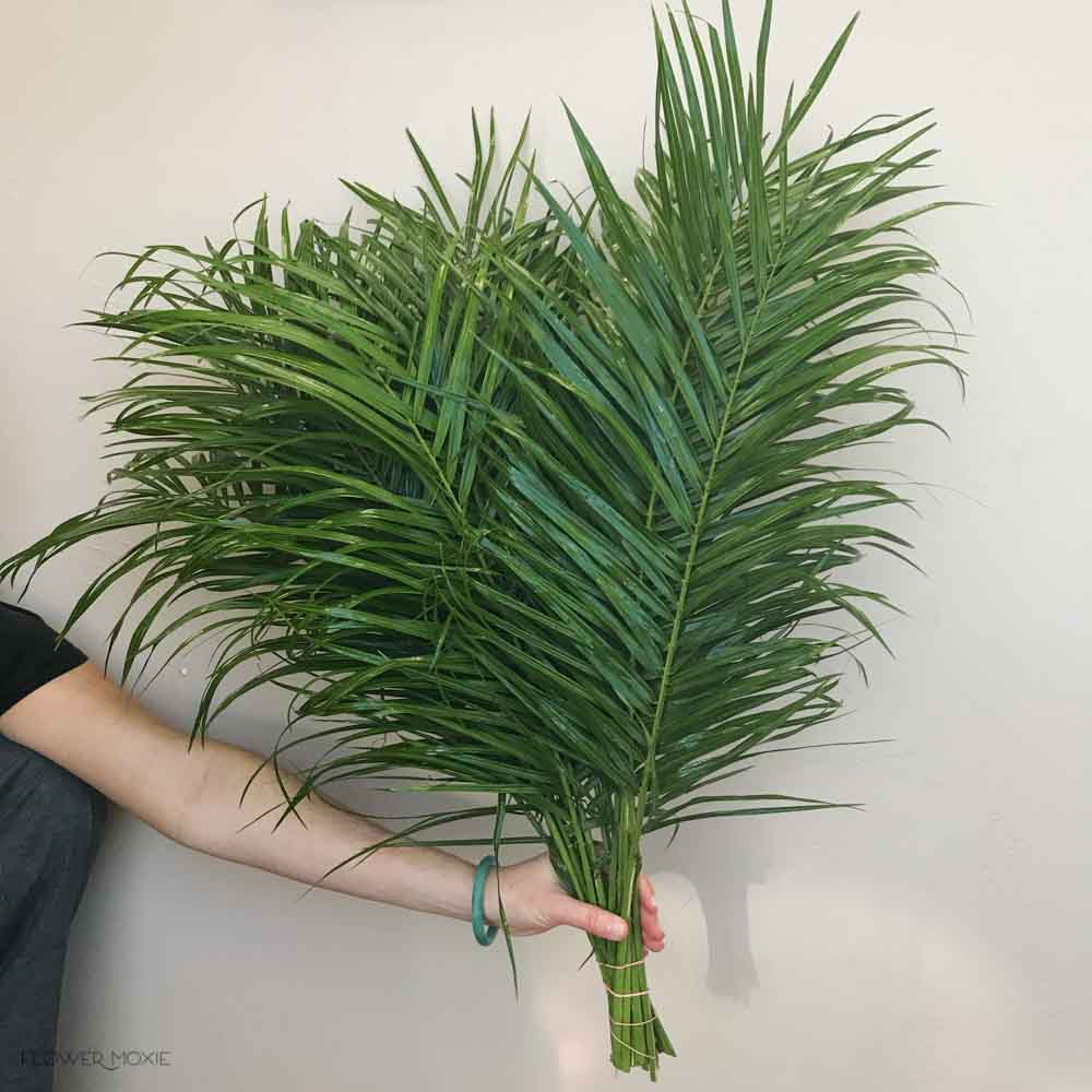 Robellini Palm Greenery - Image 7