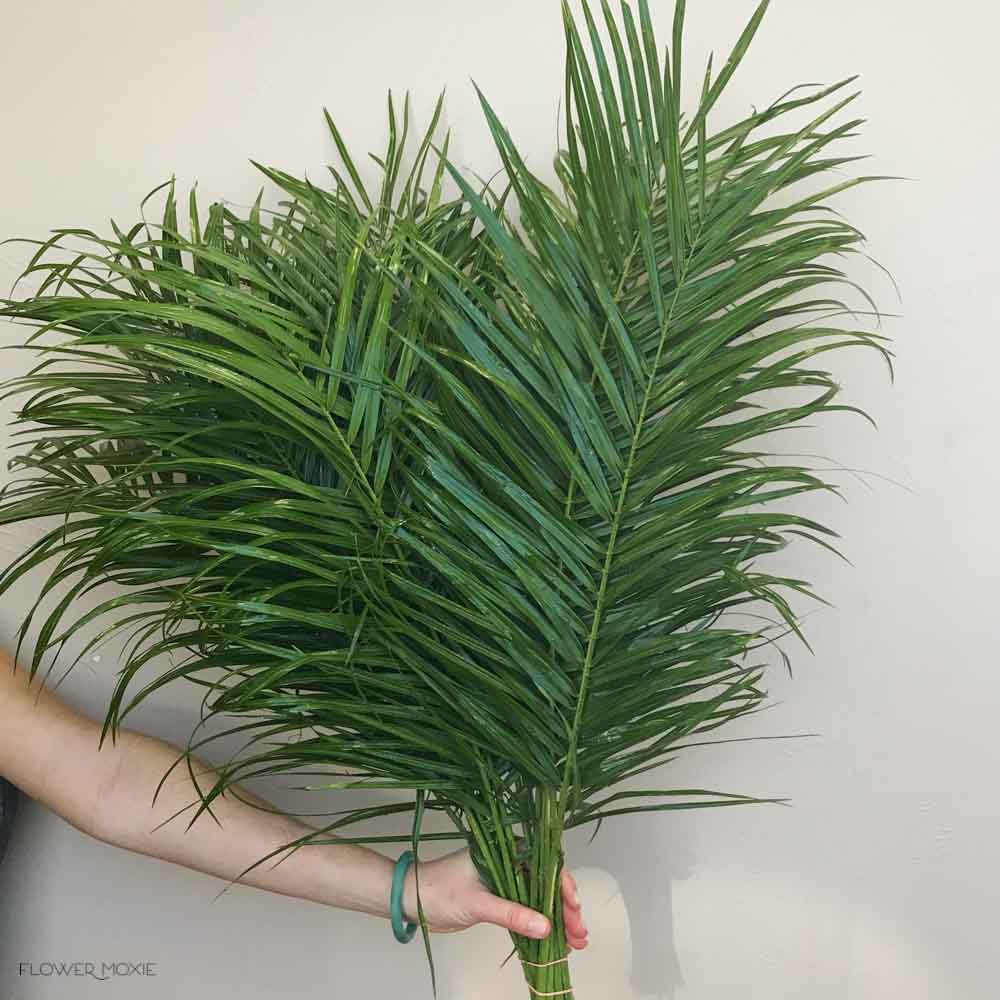 Robellini Palm Greenery - Image 8